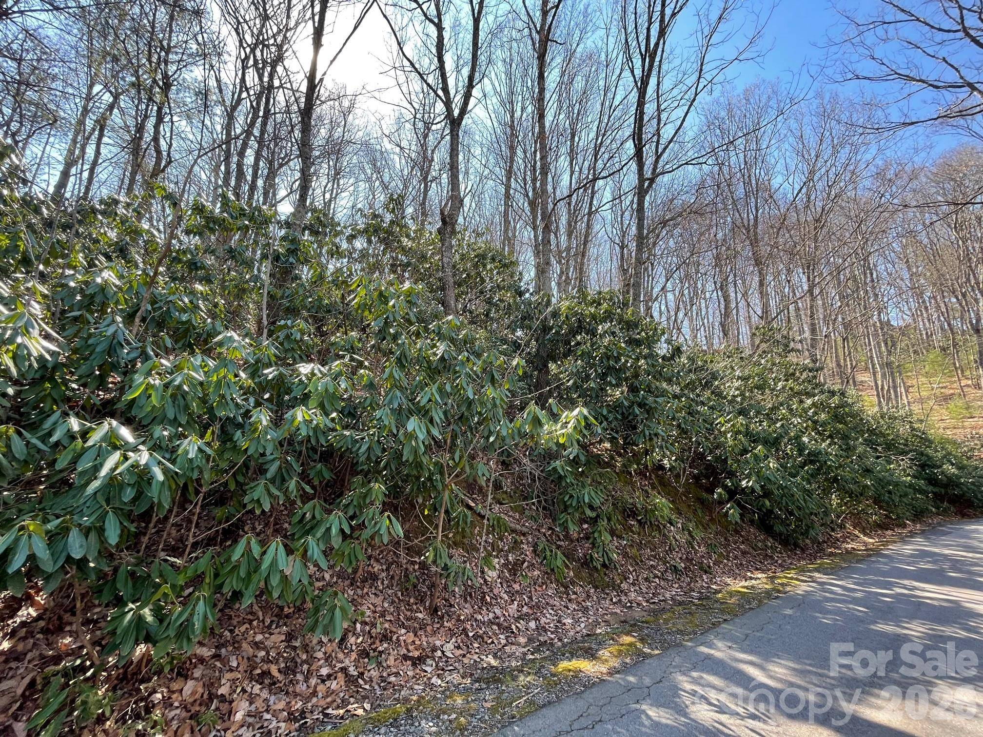 111 Deer Run LN #40, Asheville, NC 28805