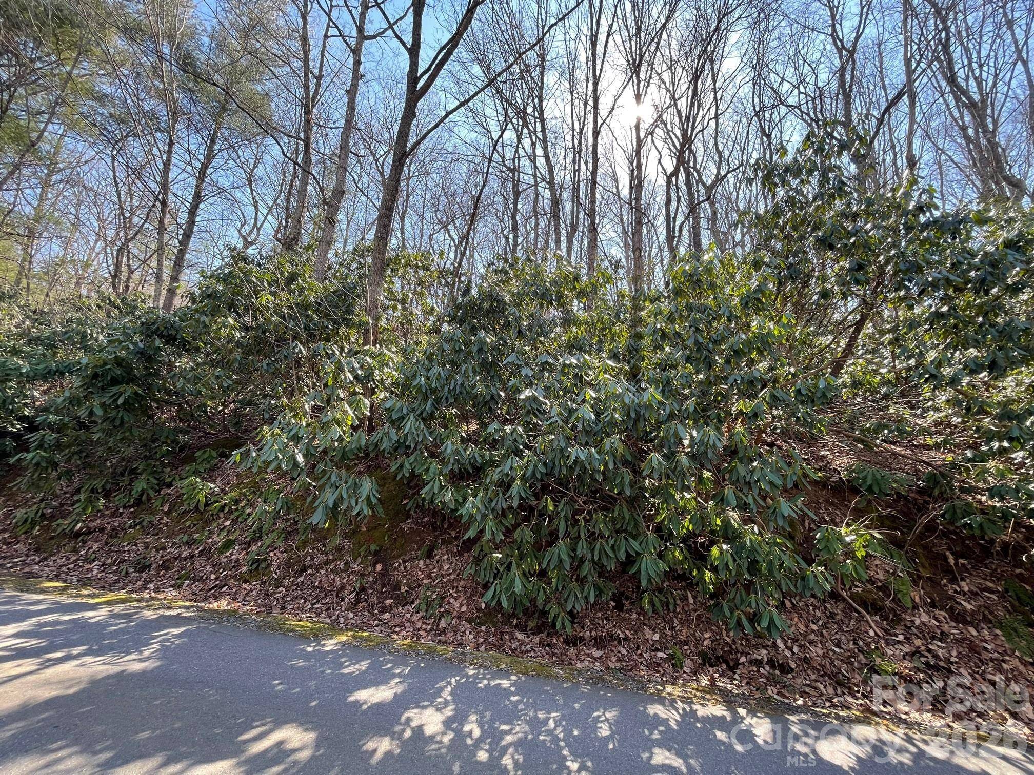 111 Deer Run LN #40, Asheville, NC 28805