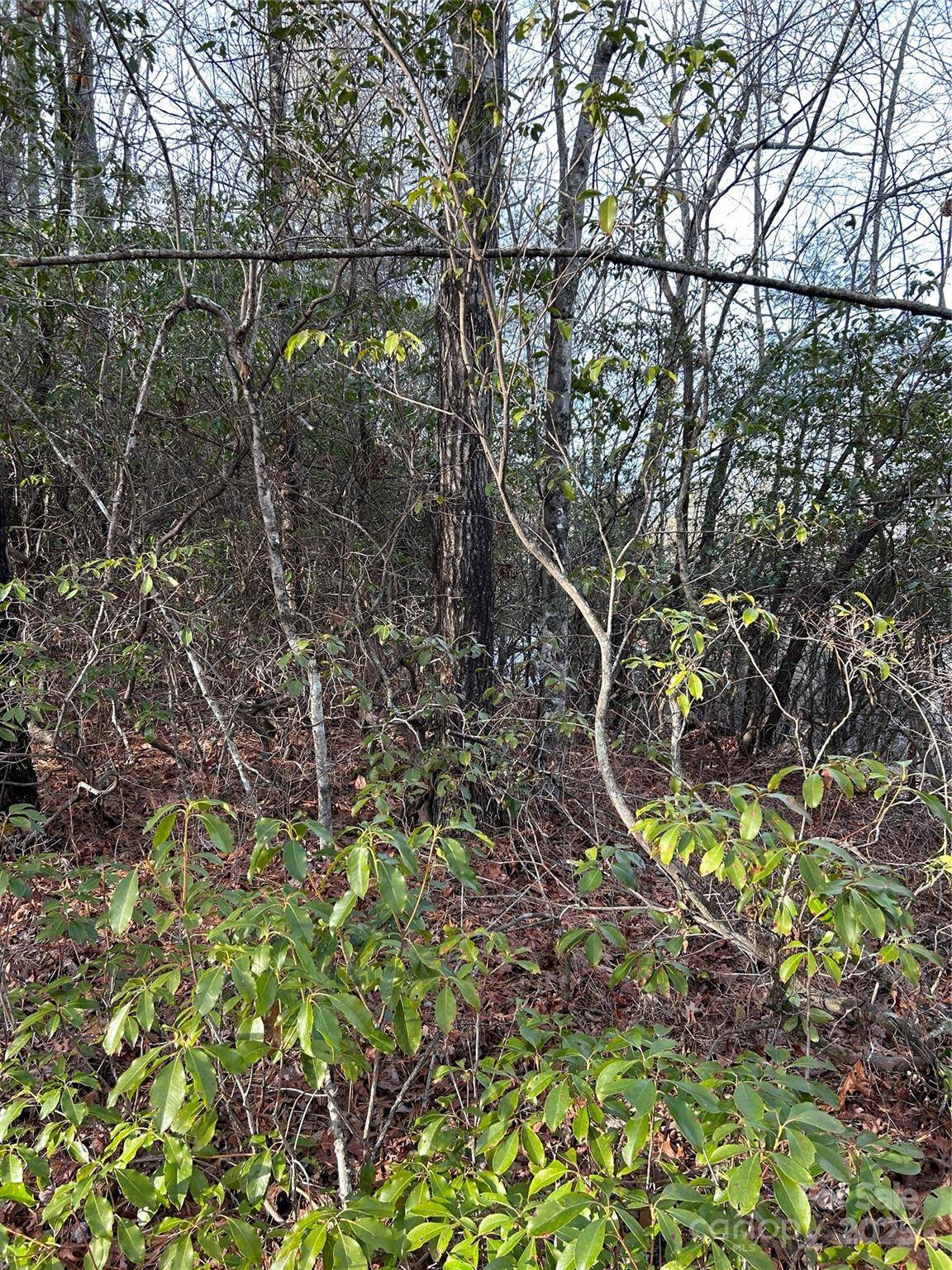 00 Howell RD, Brevard, NC 28712