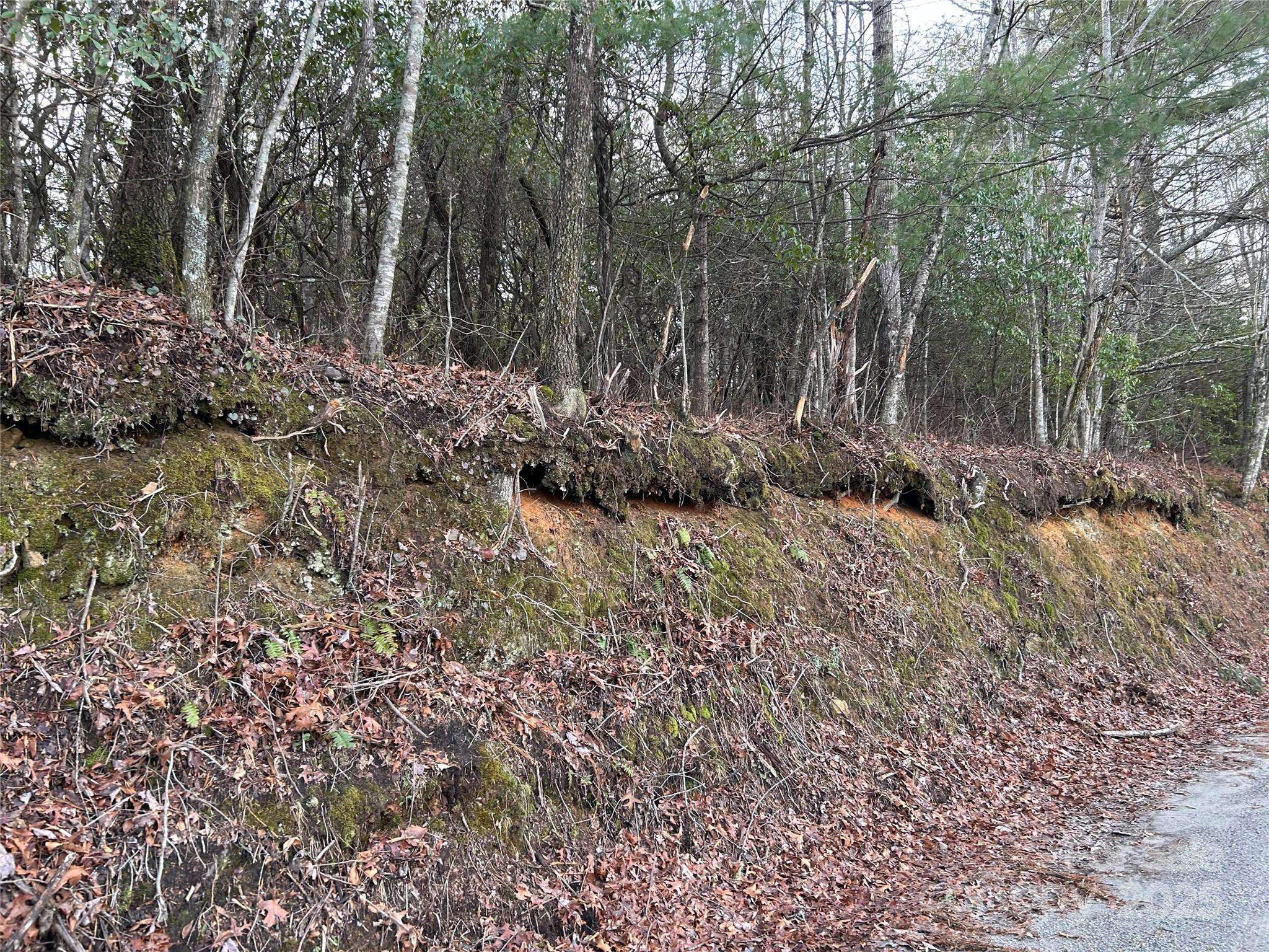 00 Howell RD, Brevard, NC 28712