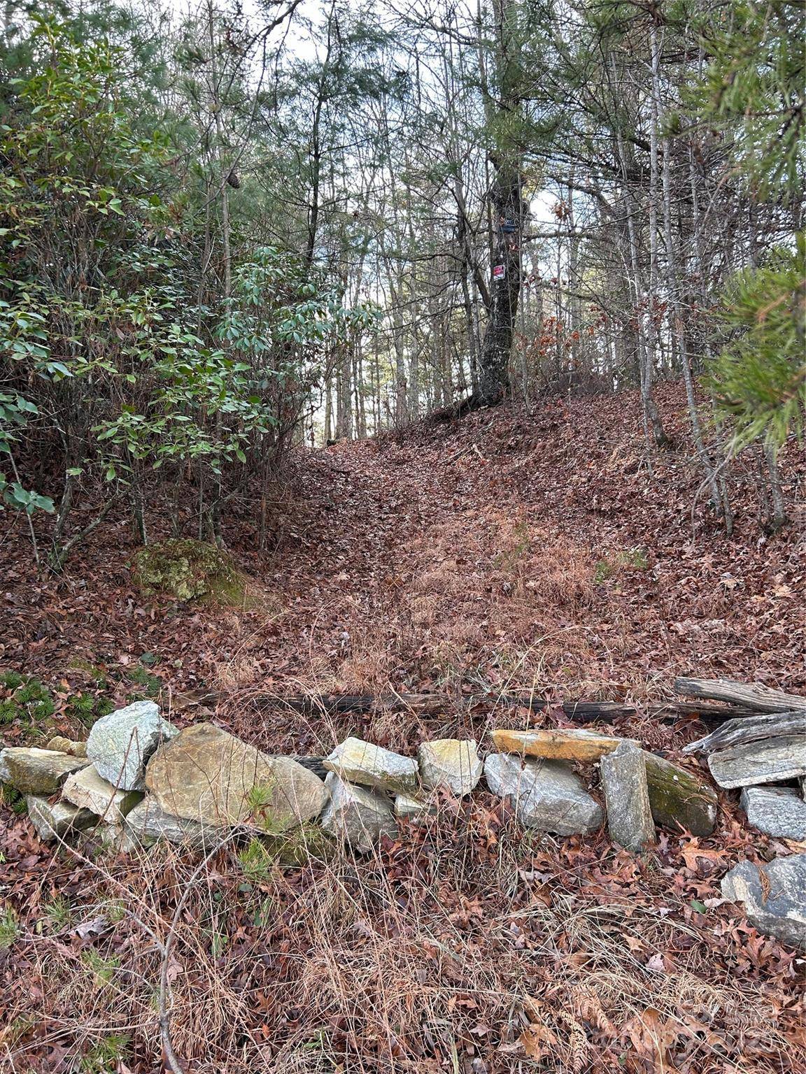 00 Howell RD, Brevard, NC 28712