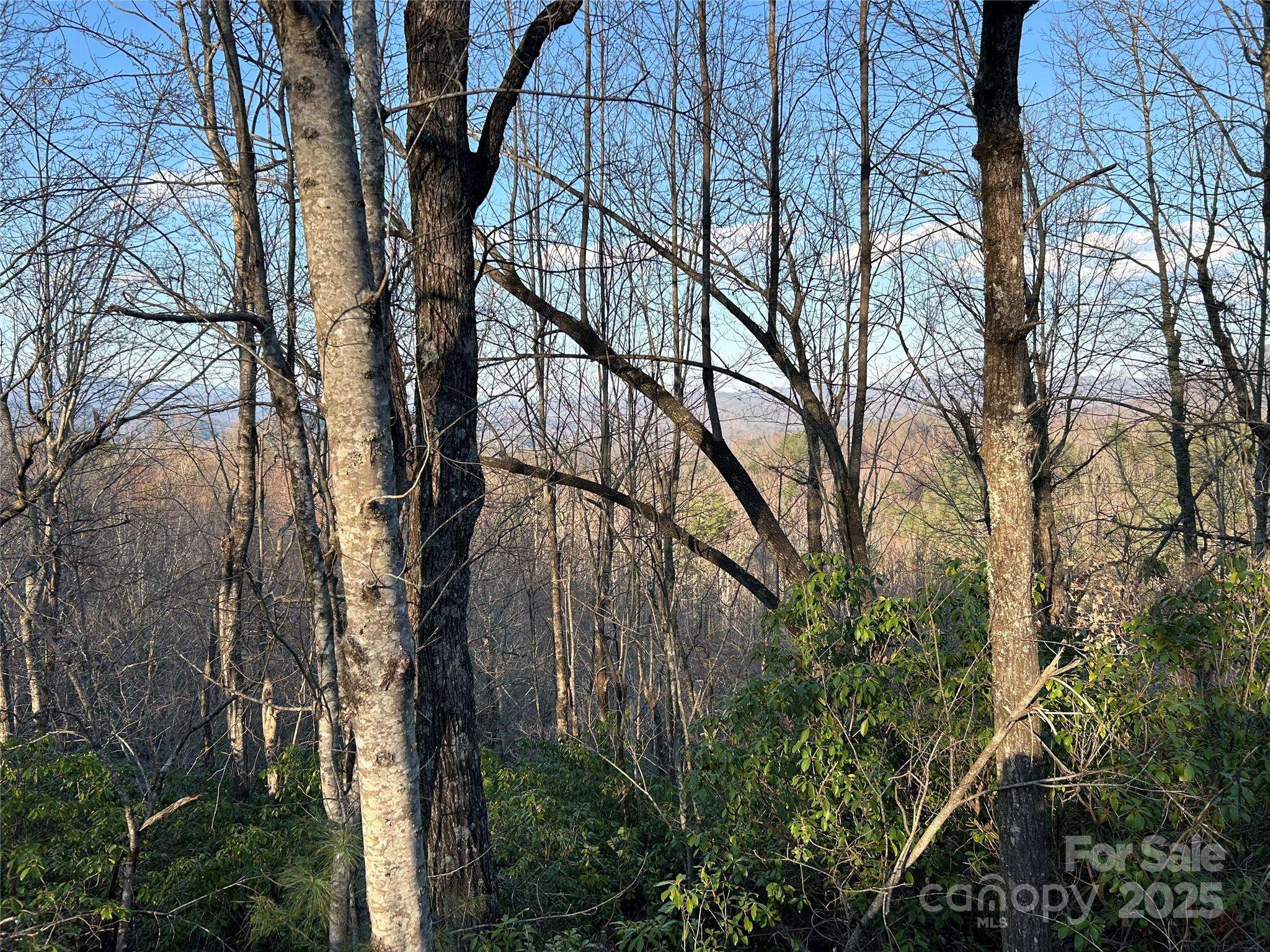 00 Howell RD, Brevard, NC 28712