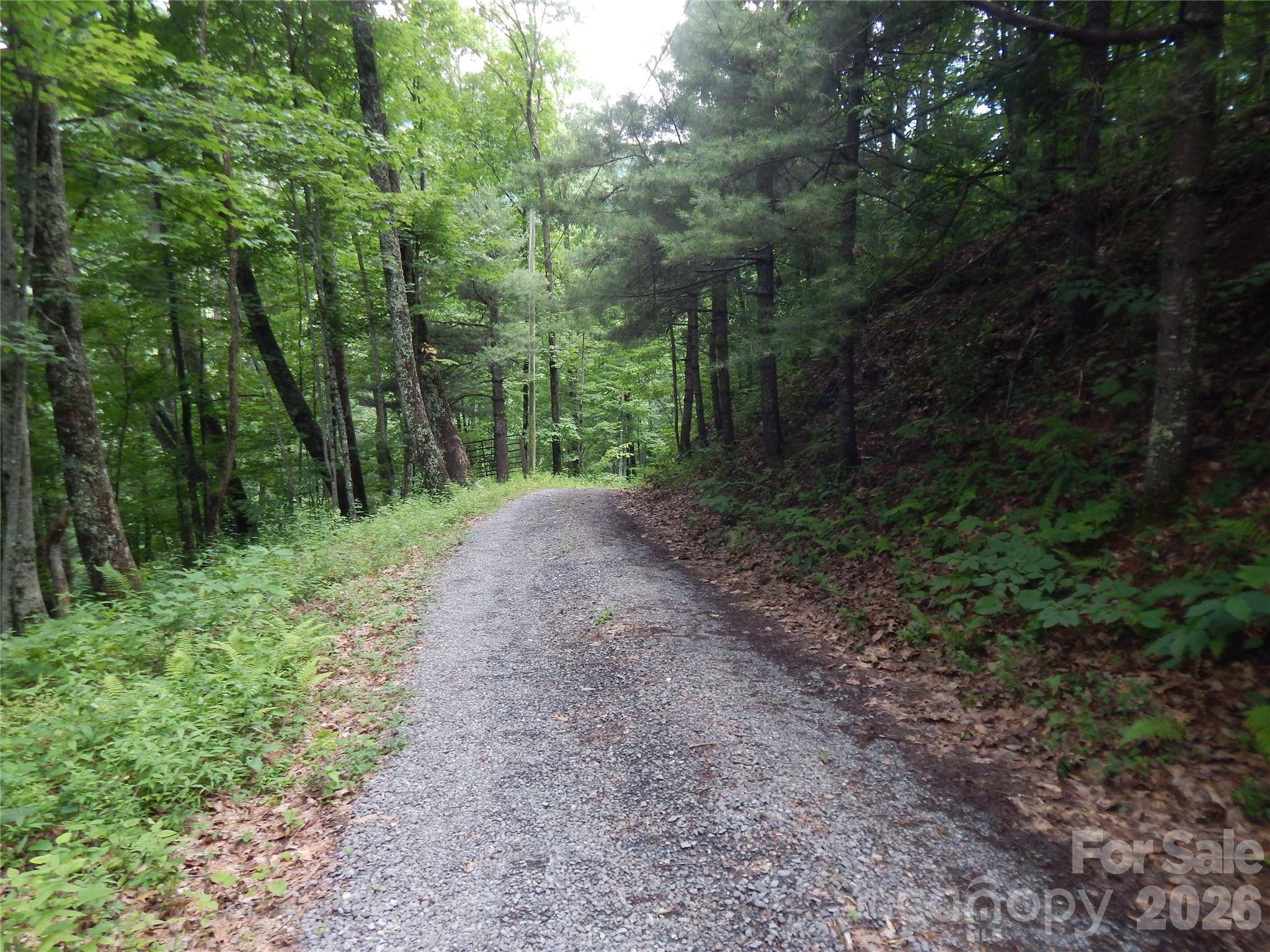 00 Hoot Owl Bill RD, Maggie Valley, NC 28751