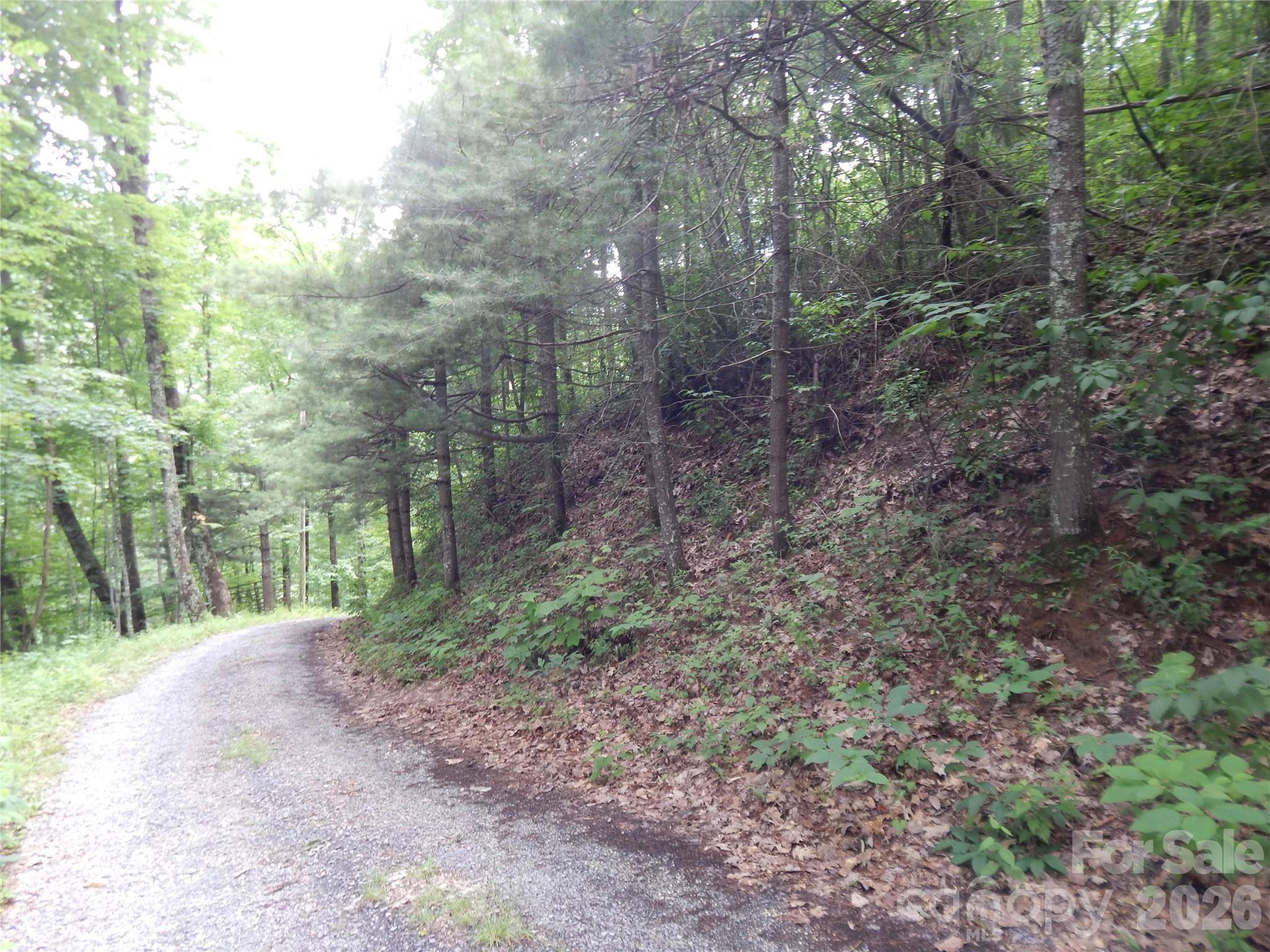 00 Hoot Owl Bill RD, Maggie Valley, NC 28751