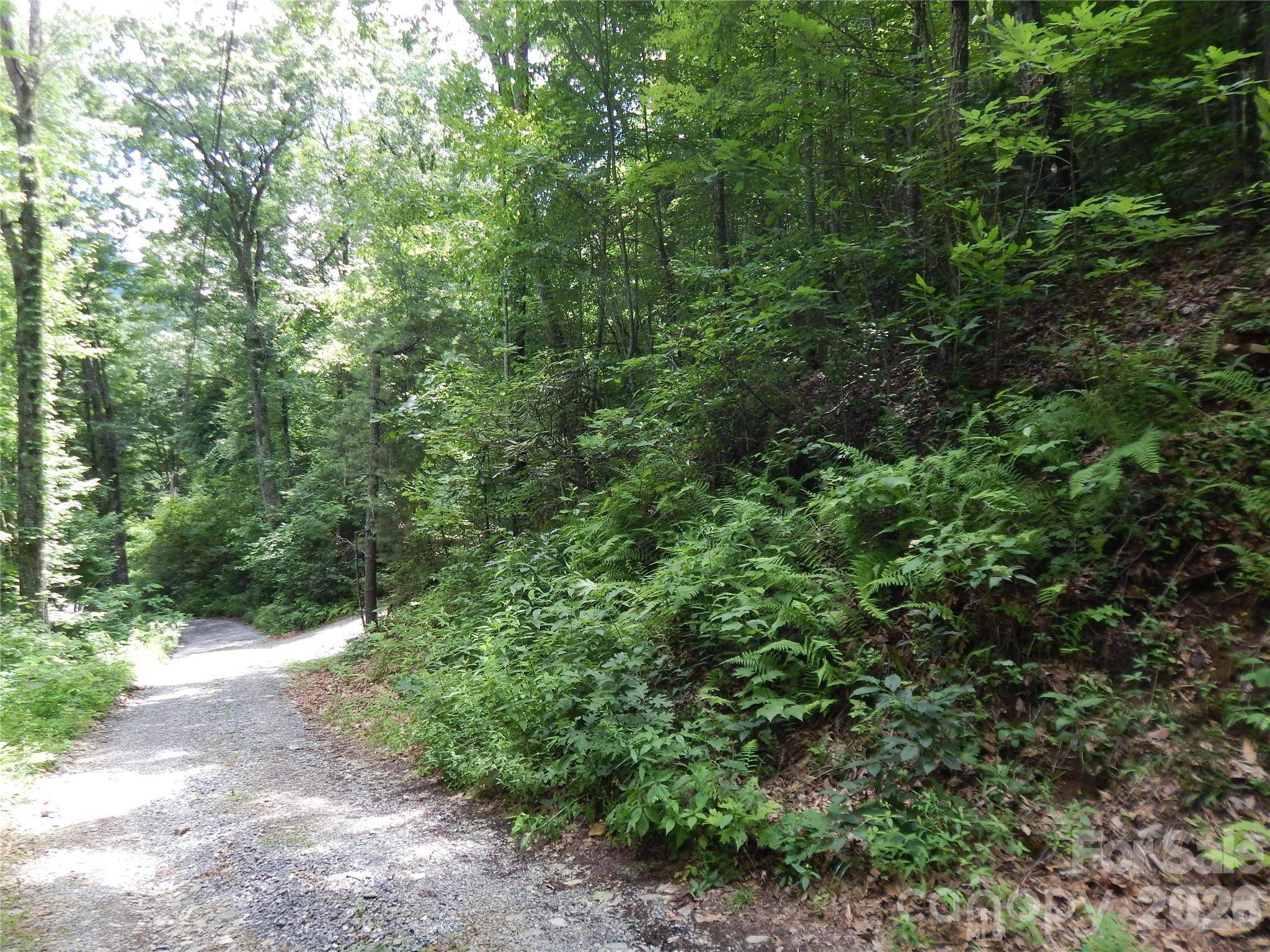 00 Hoot Owl Bill RD, Maggie Valley, NC 28751
