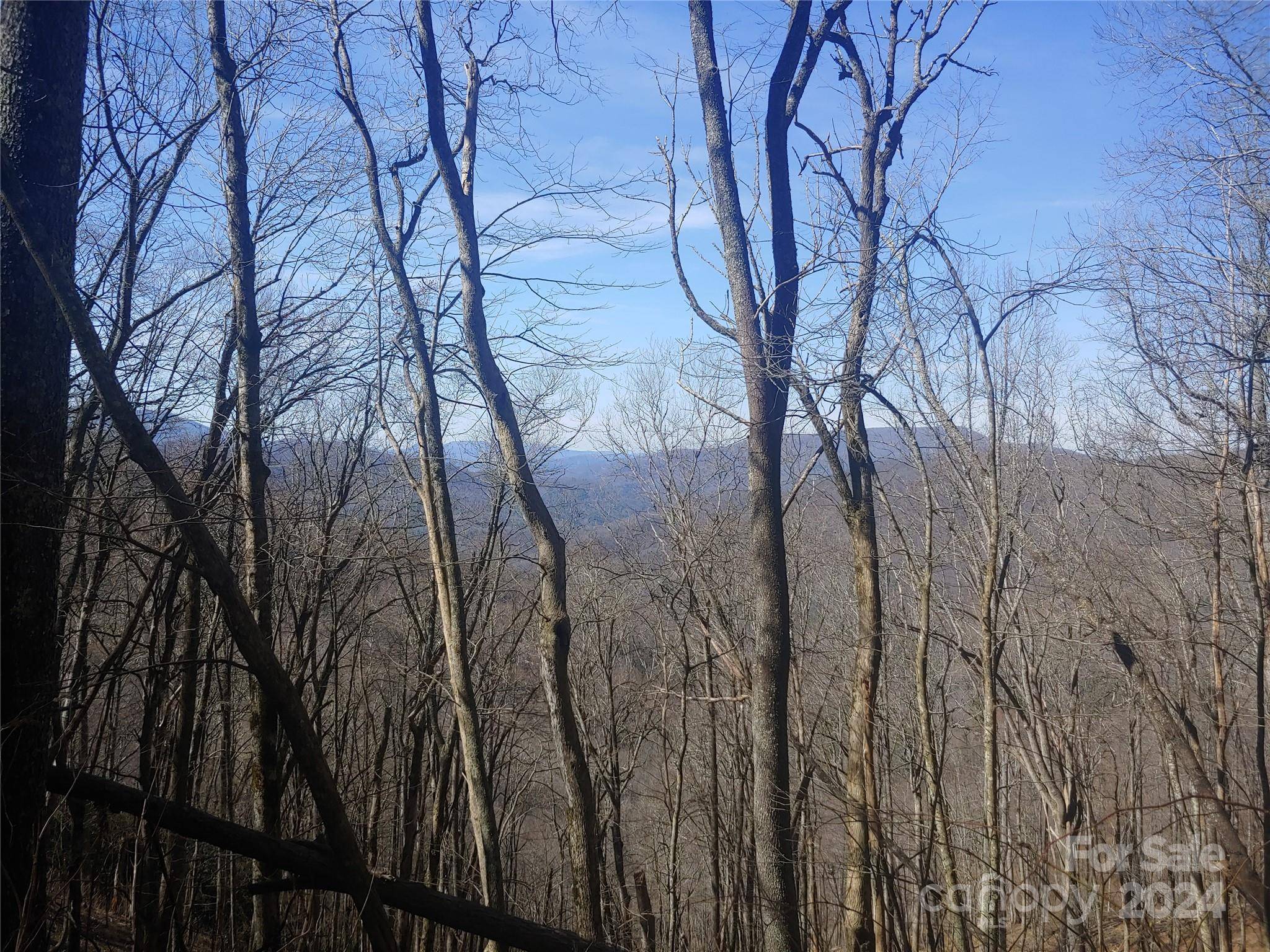 34 Barn Cove RD, Clyde, NC 28721