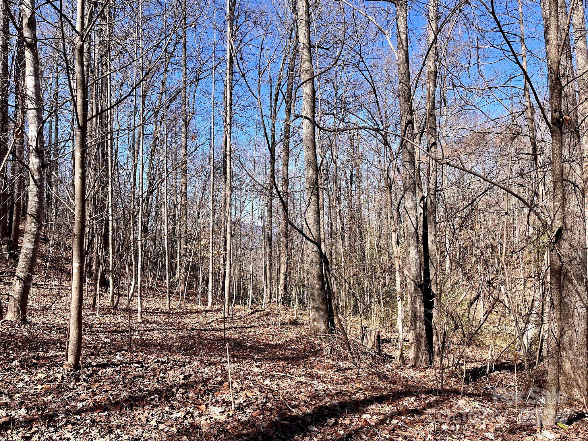 Lot 147 Big View DR, Marion, NC 28752