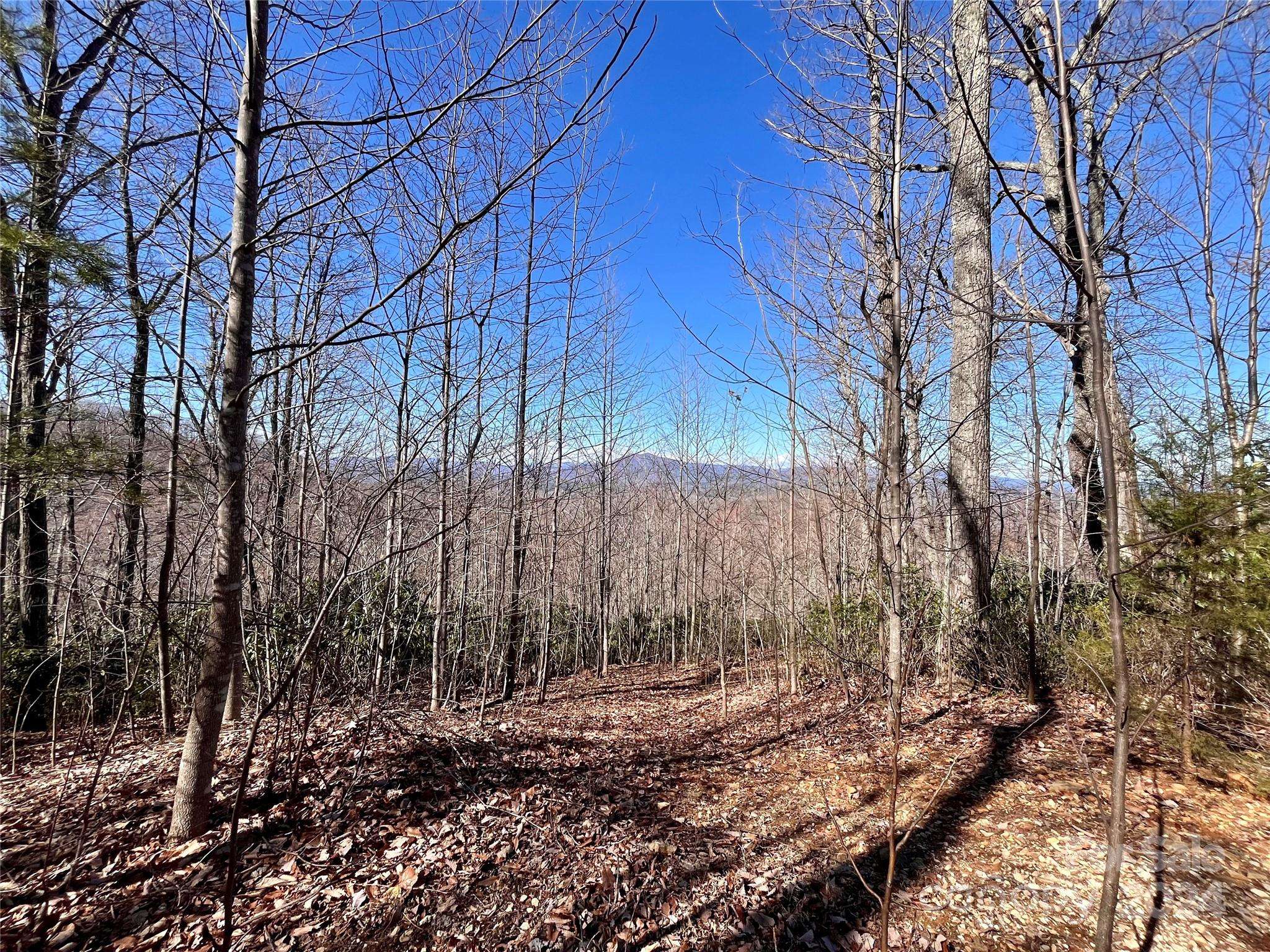 Lot 147 Big View DR, Marion, NC 28752