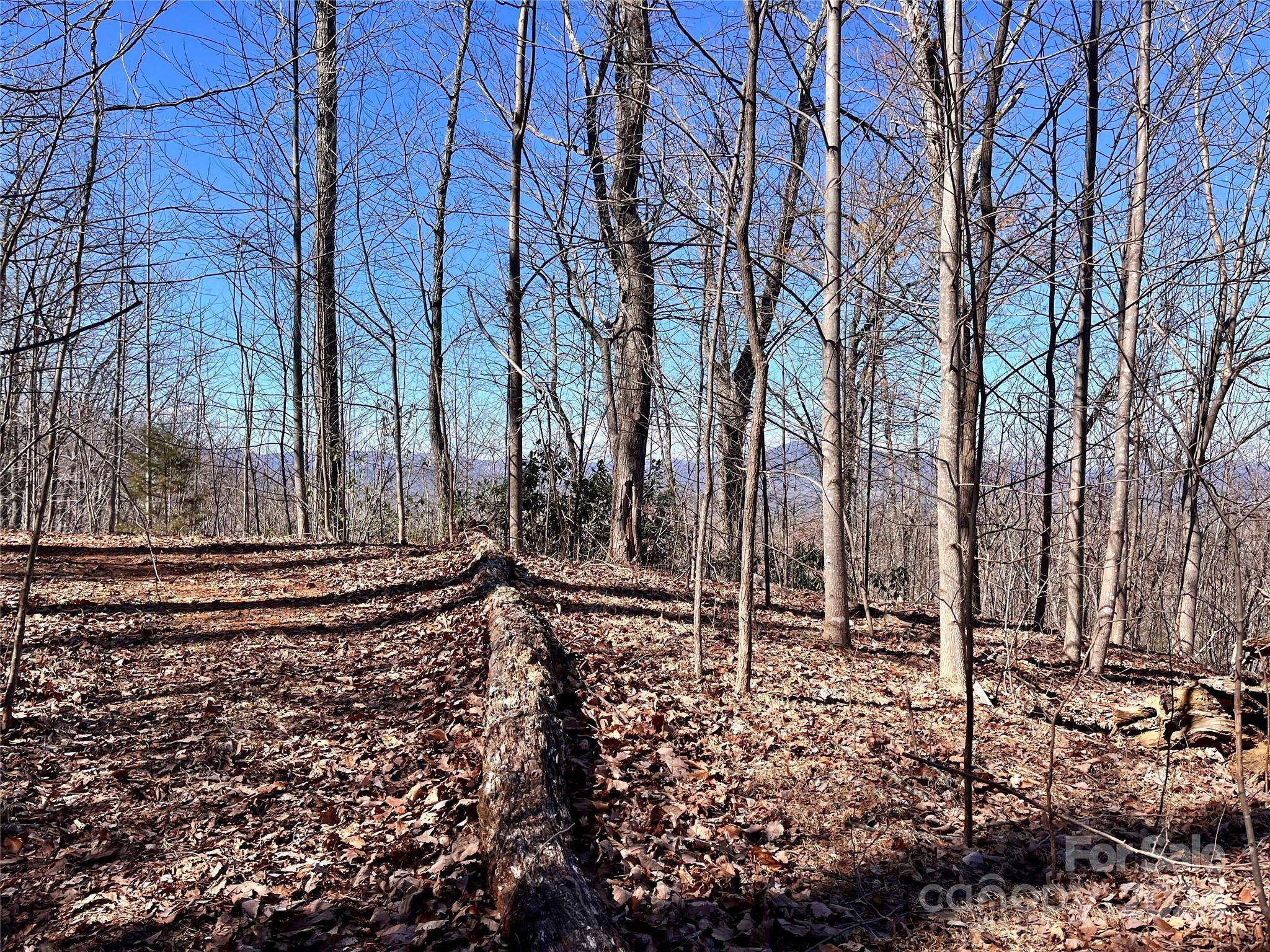 Lot 147 Big View DR, Marion, NC 28752