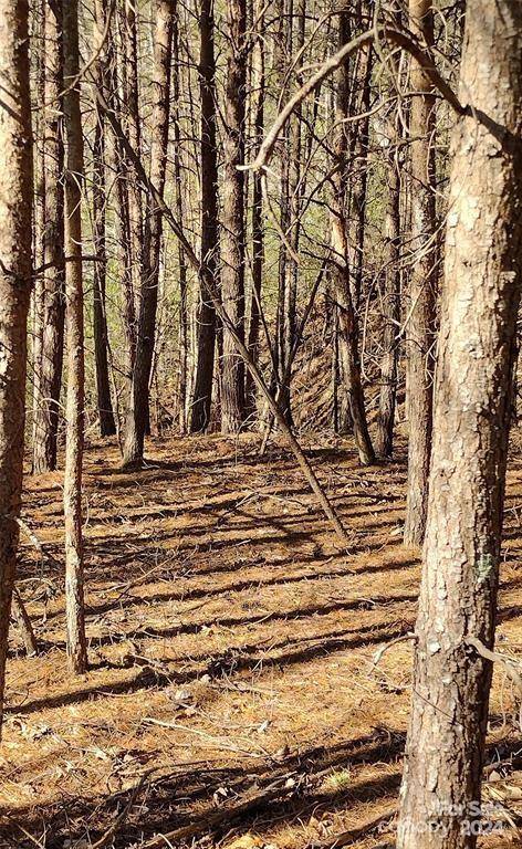 Lot 30 Laurel Valley DR, Marion, NC 28752