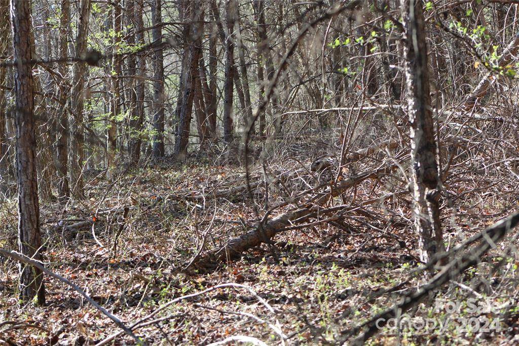 Lot 30 Laurel Valley DR, Marion, NC 28752