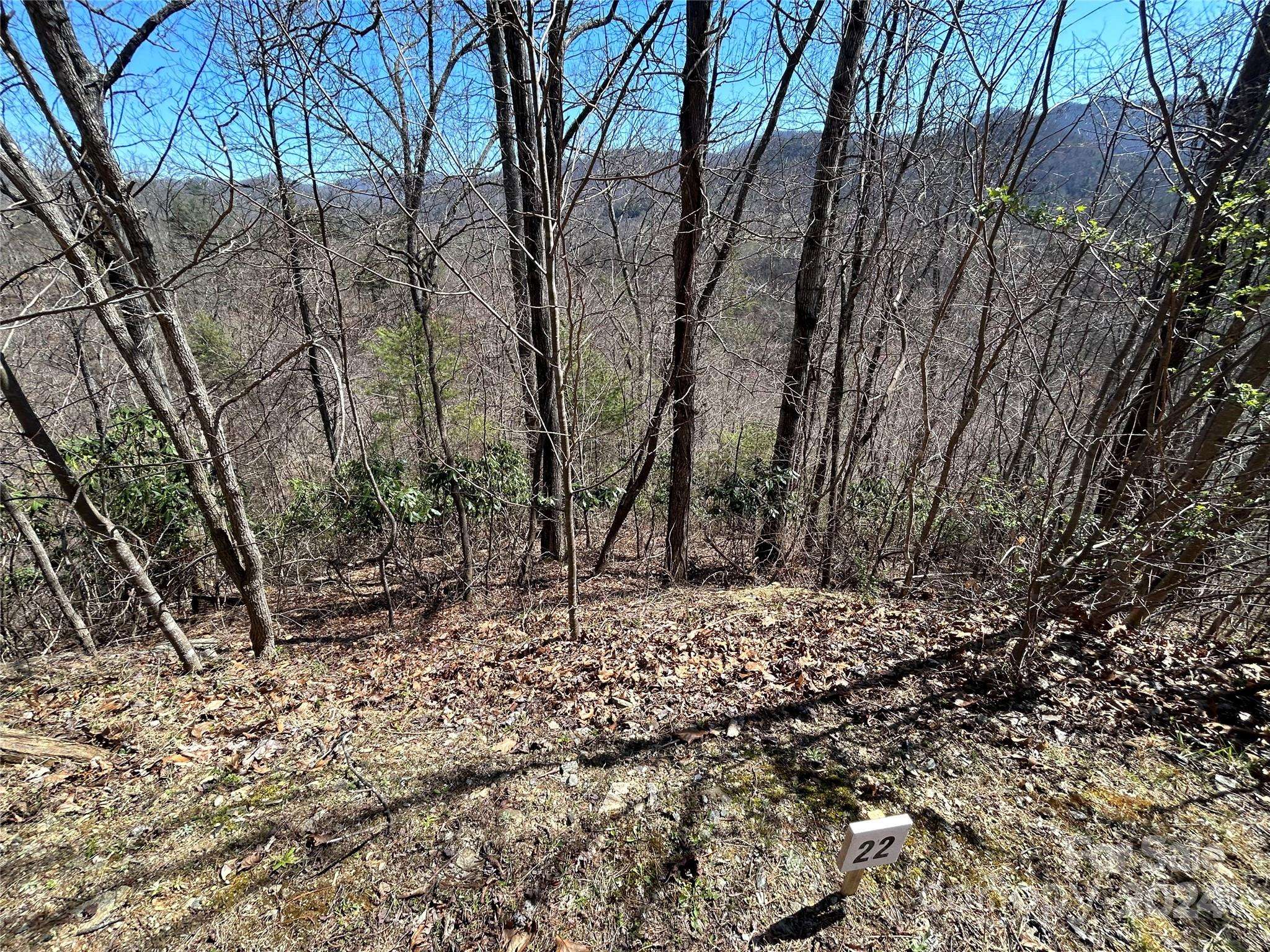 275 Overlook LN #22, Marshall, NC 28753