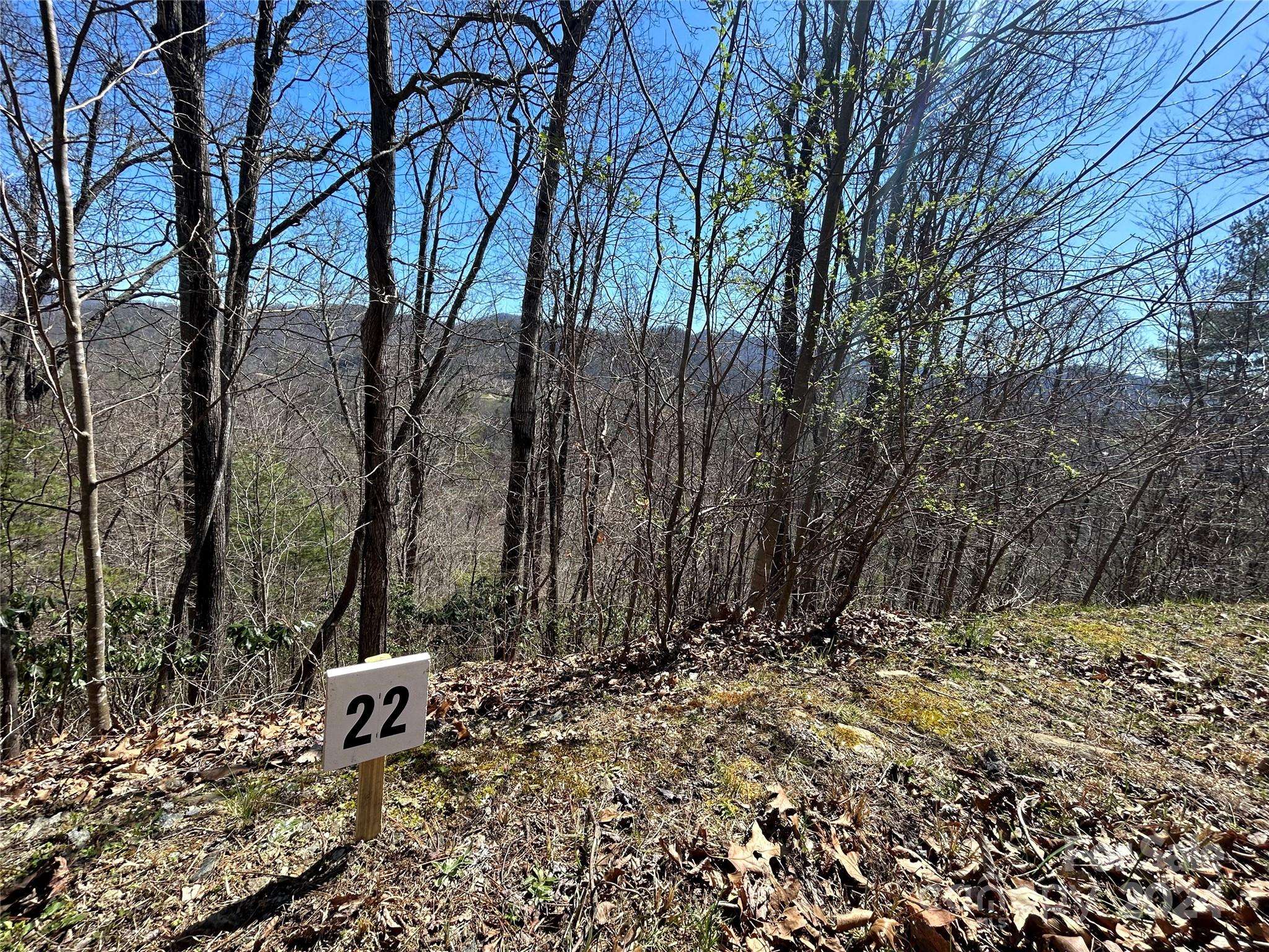 275 Overlook LN #22, Marshall, NC 28753