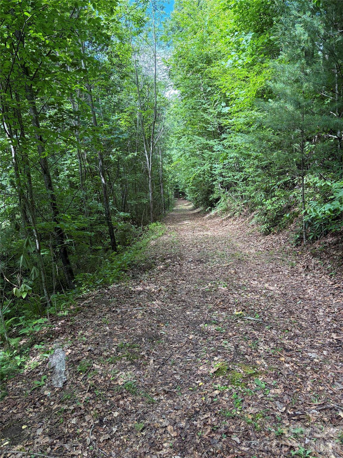 0 Dodgen Ridge RD, Tuckasegee, NC 28783