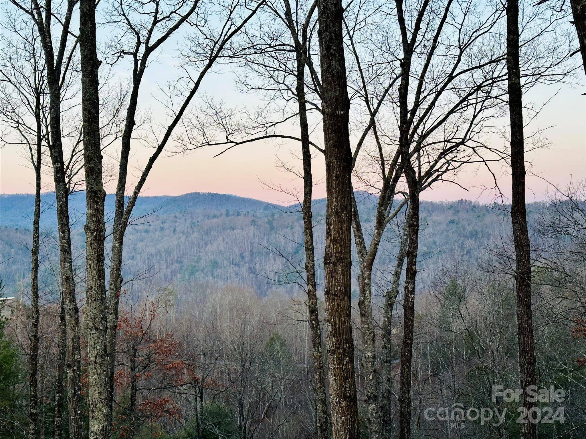 75 Raccoon RUN #22, Marshall, NC 28753