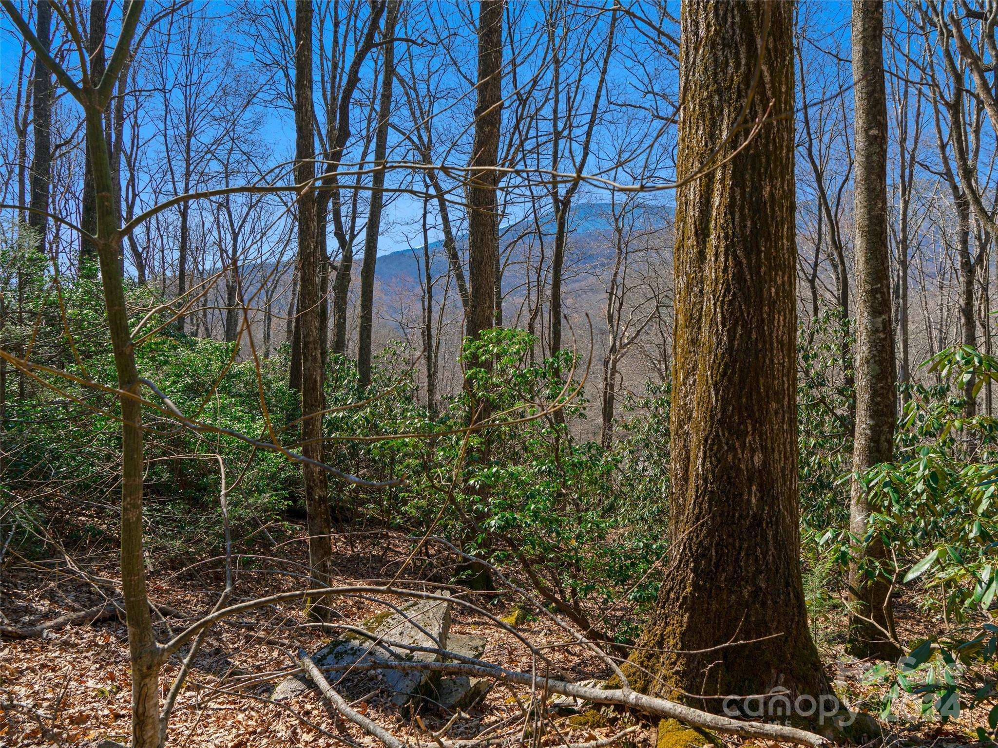 000 Big Ridge RD #62 & 63, Burnsville, NC 28714