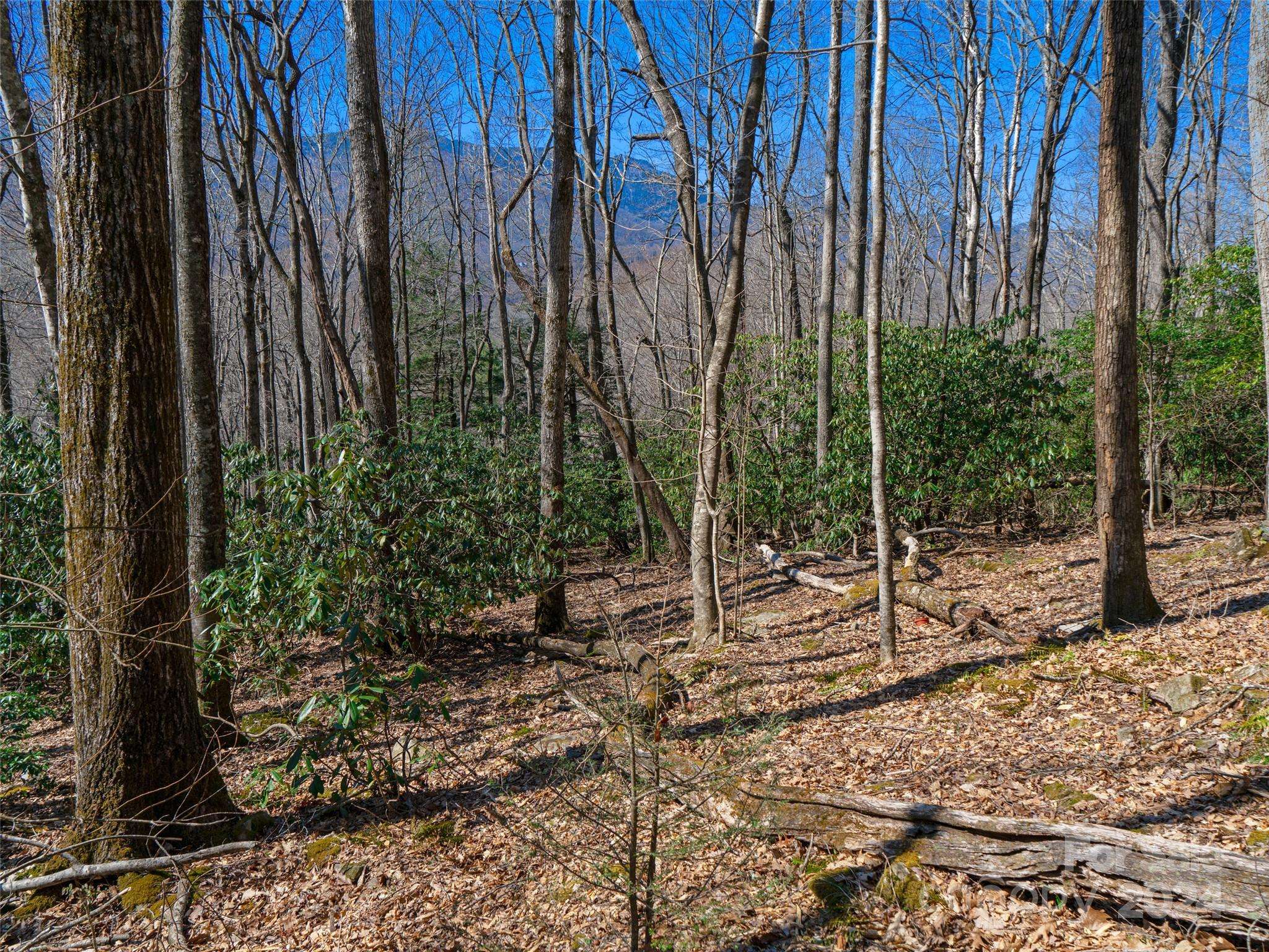 000 Big Ridge RD #62 & 63, Burnsville, NC 28714