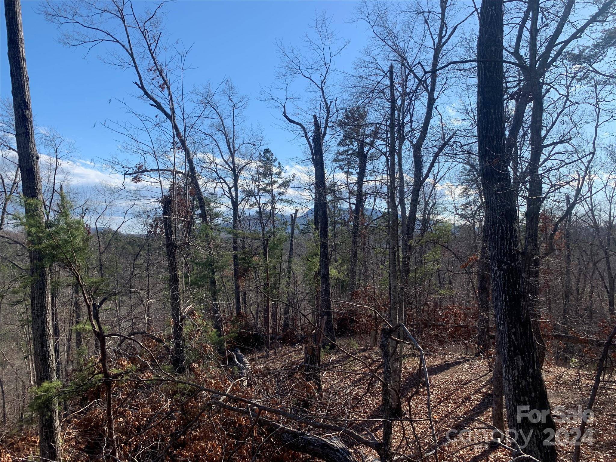 0 N Lynch RD SW, Mill Spring, NC 28756