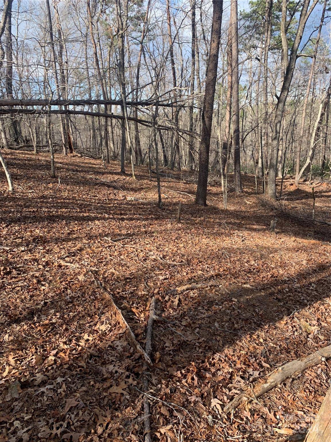 0 N Lynch RD SW, Mill Spring, NC 28756