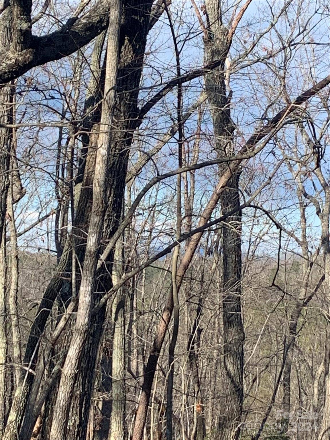 0 N Lynch RD SW, Mill Spring, NC 28756