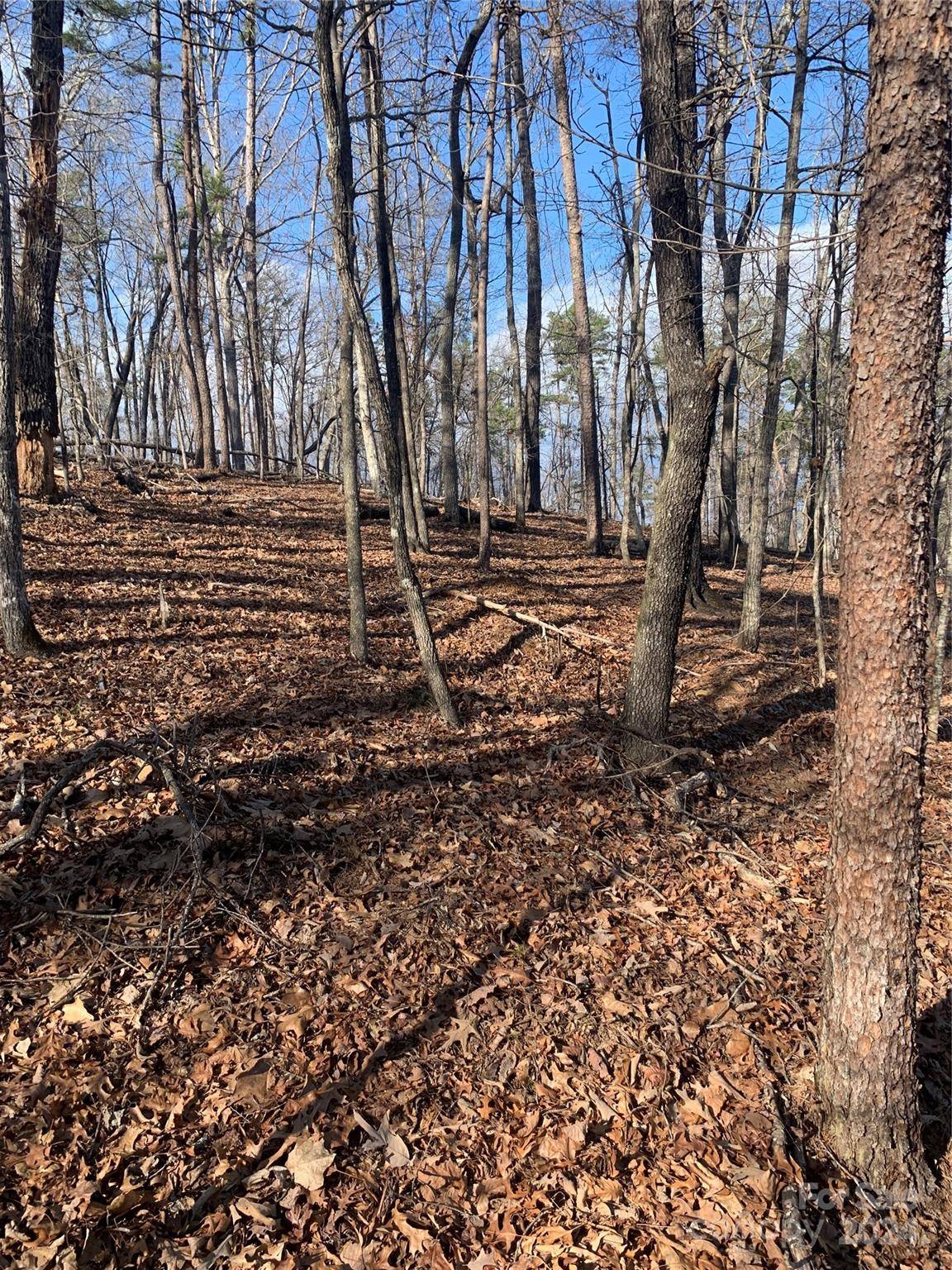 0 N Lynch RD SW, Mill Spring, NC 28756