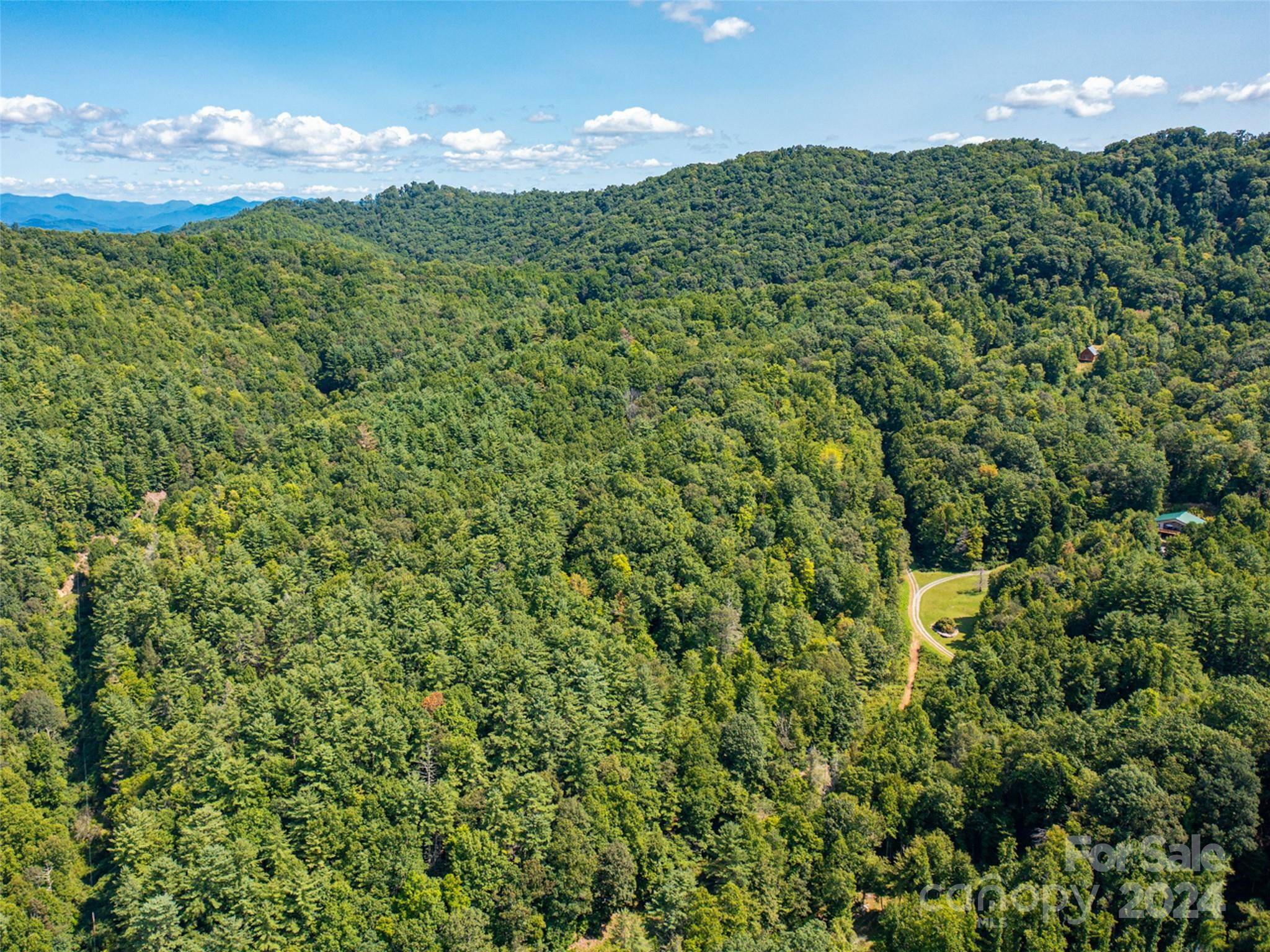 00000 Meadow Fork School RD, Hot Springs, NC 28743