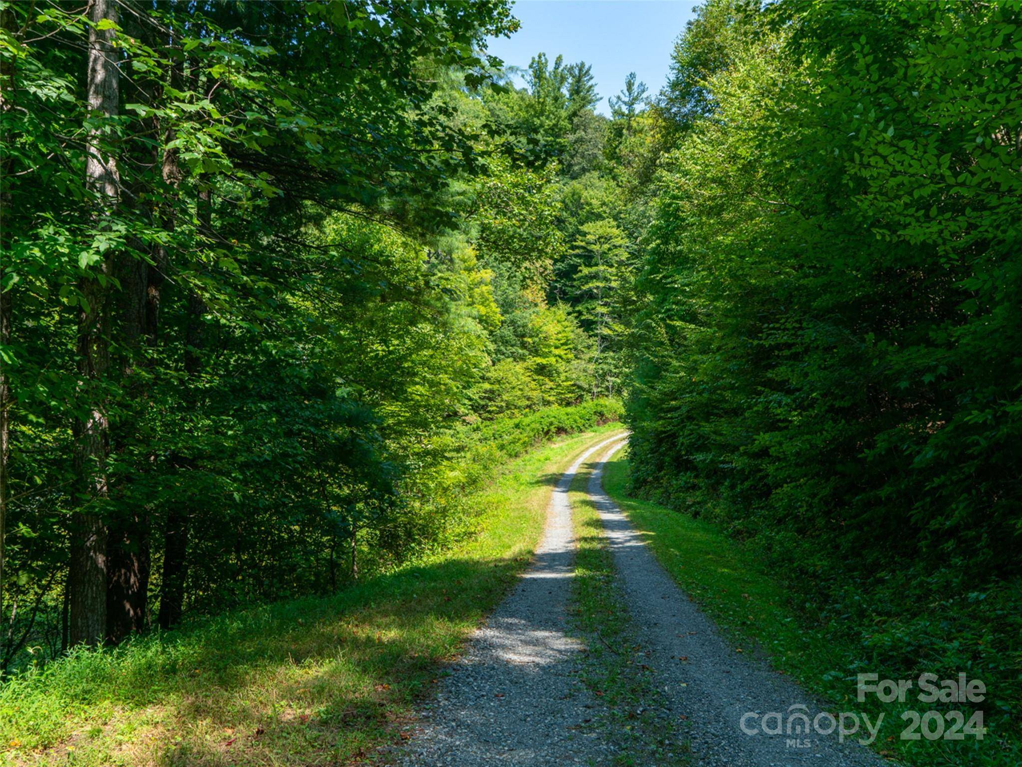 00000 Meadow Fork School RD, Hot Springs, NC 28743
