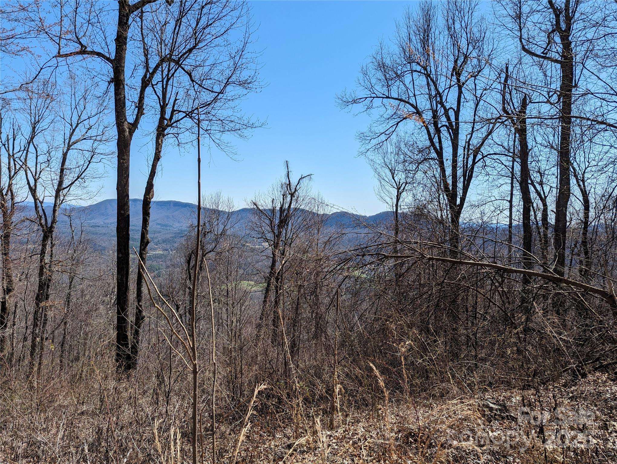 2687 Creston DR #T-26, Black Mountain, NC 28711