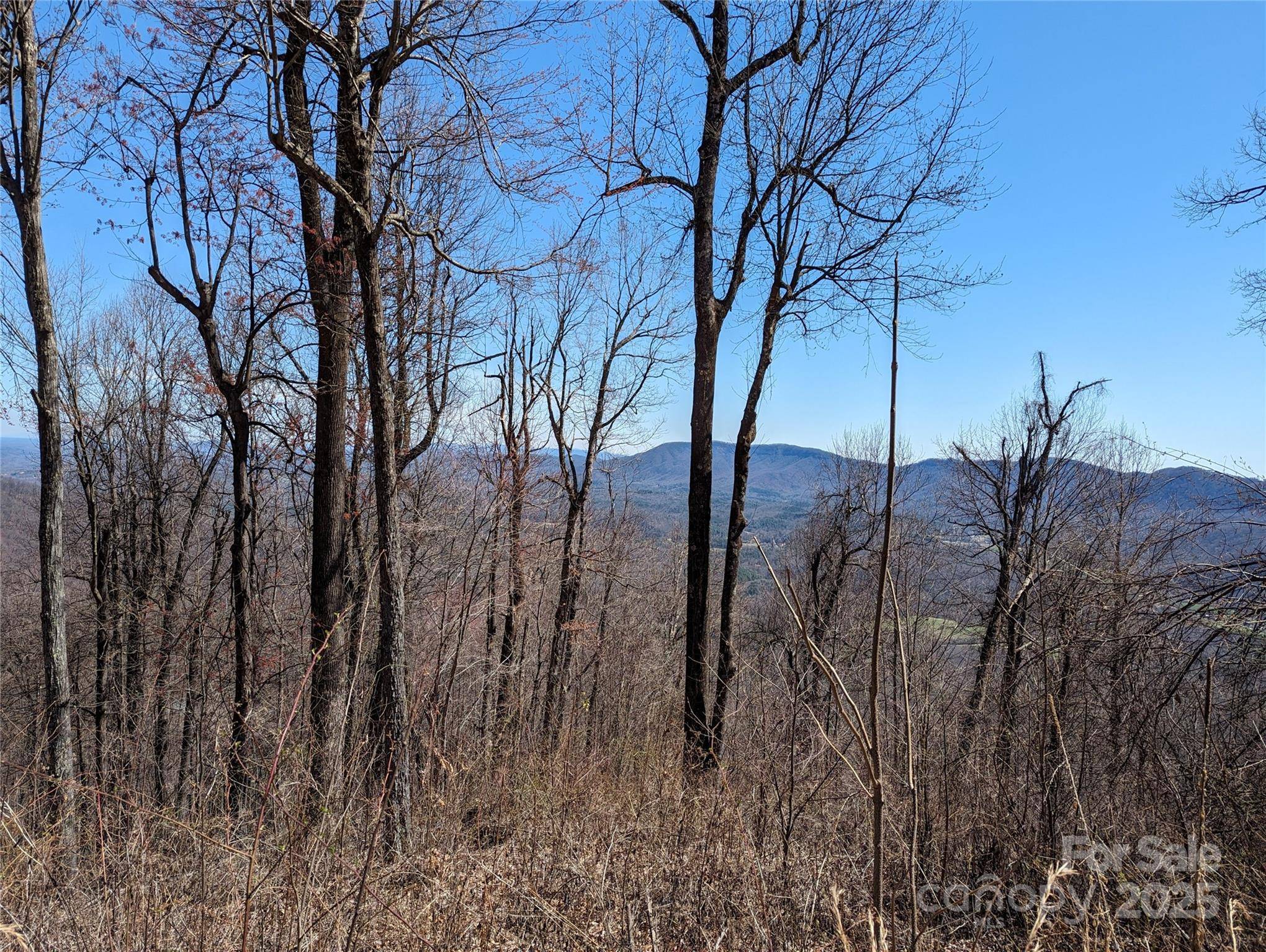 2687 Creston DR #T-26, Black Mountain, NC 28711