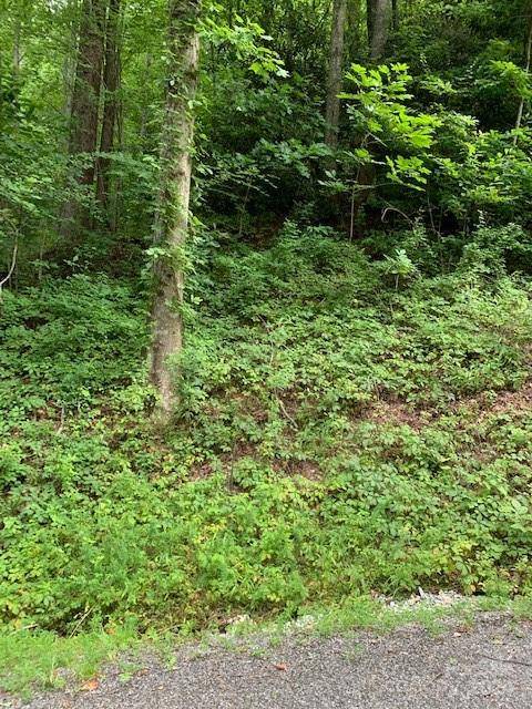 Lot 45-46 Mckenzie WAY S #45-46, Old Fort, NC 28762