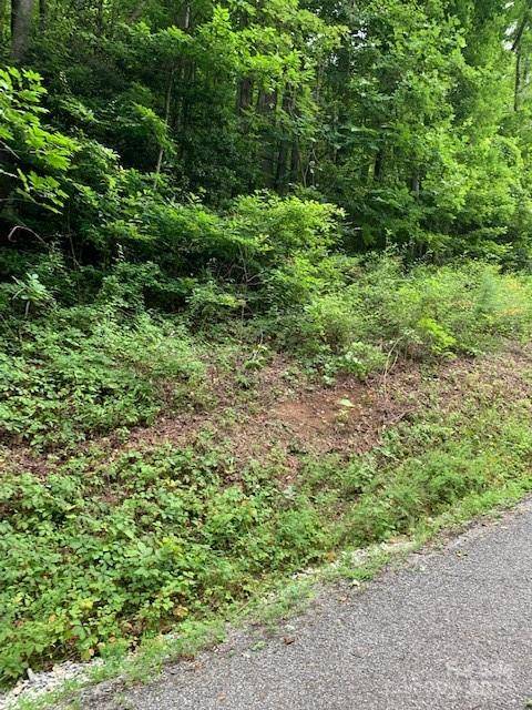 Lot 45-46 Mckenzie WAY S #45-46, Old Fort, NC 28762