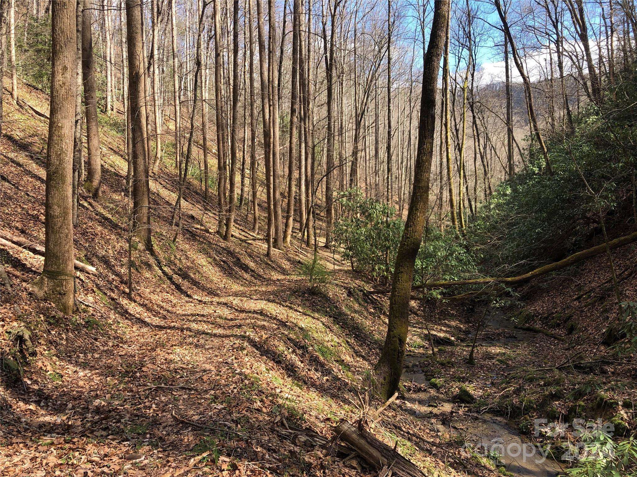 0 NC Highway 90 E None, Lenoir, NC 28645