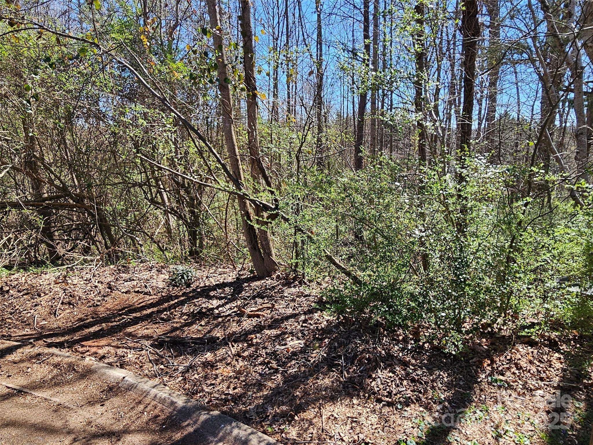 0 Gray CT #56 & 55, Rutherfordton, NC 28139
