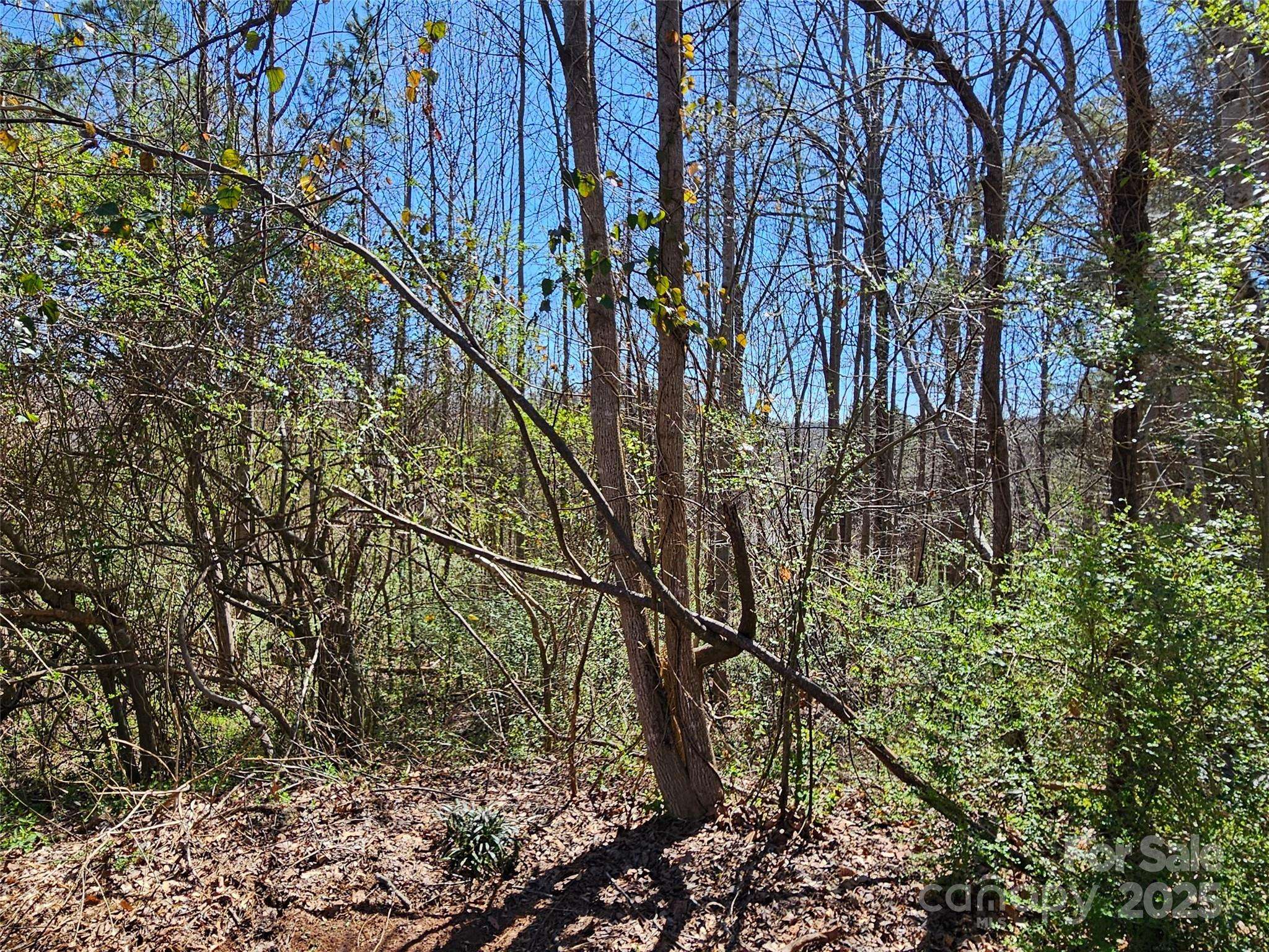 0 Gray CT #56 & 55, Rutherfordton, NC 28139