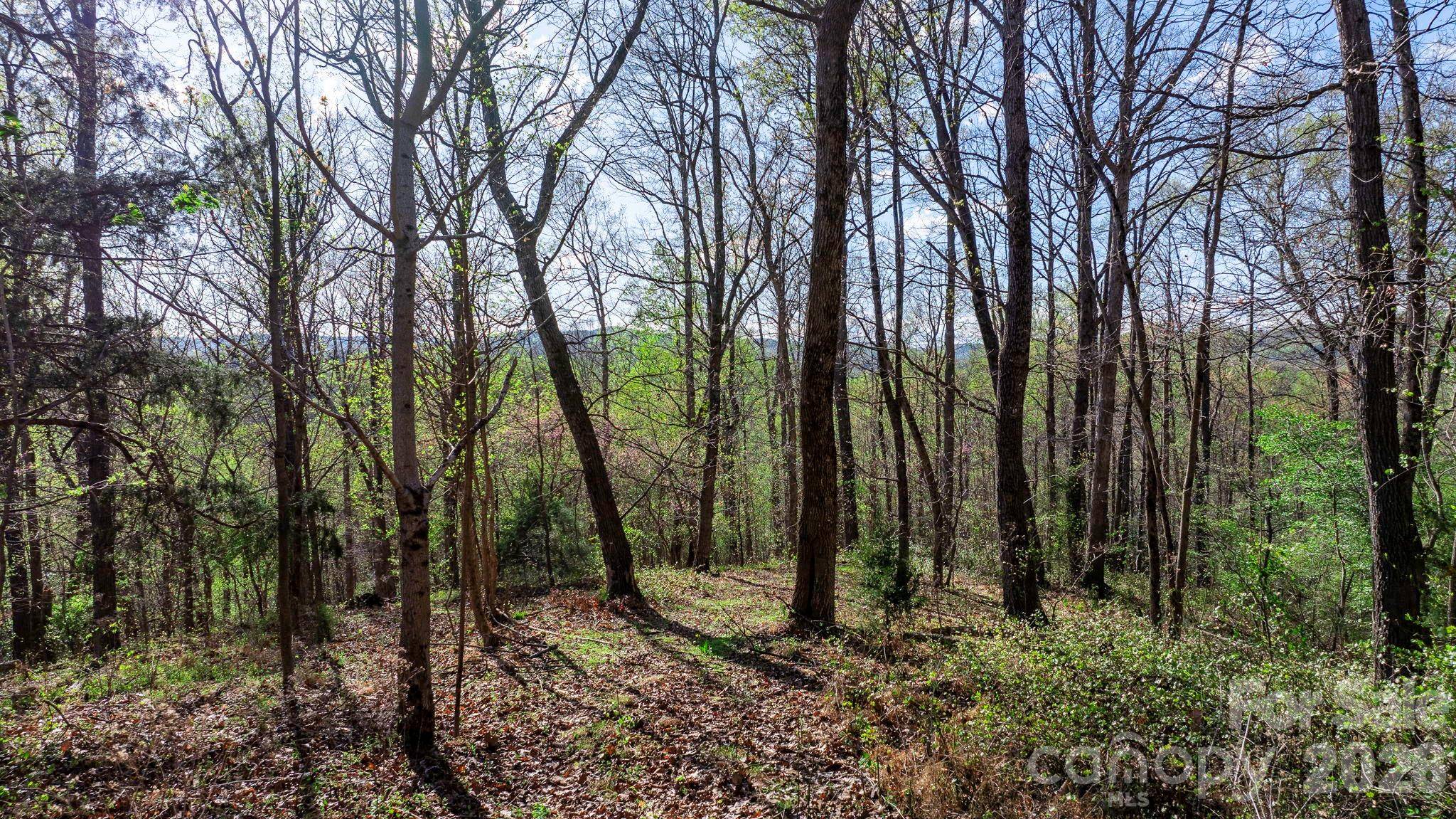 00 Somers RD, North Wilkesboro, NC 28689