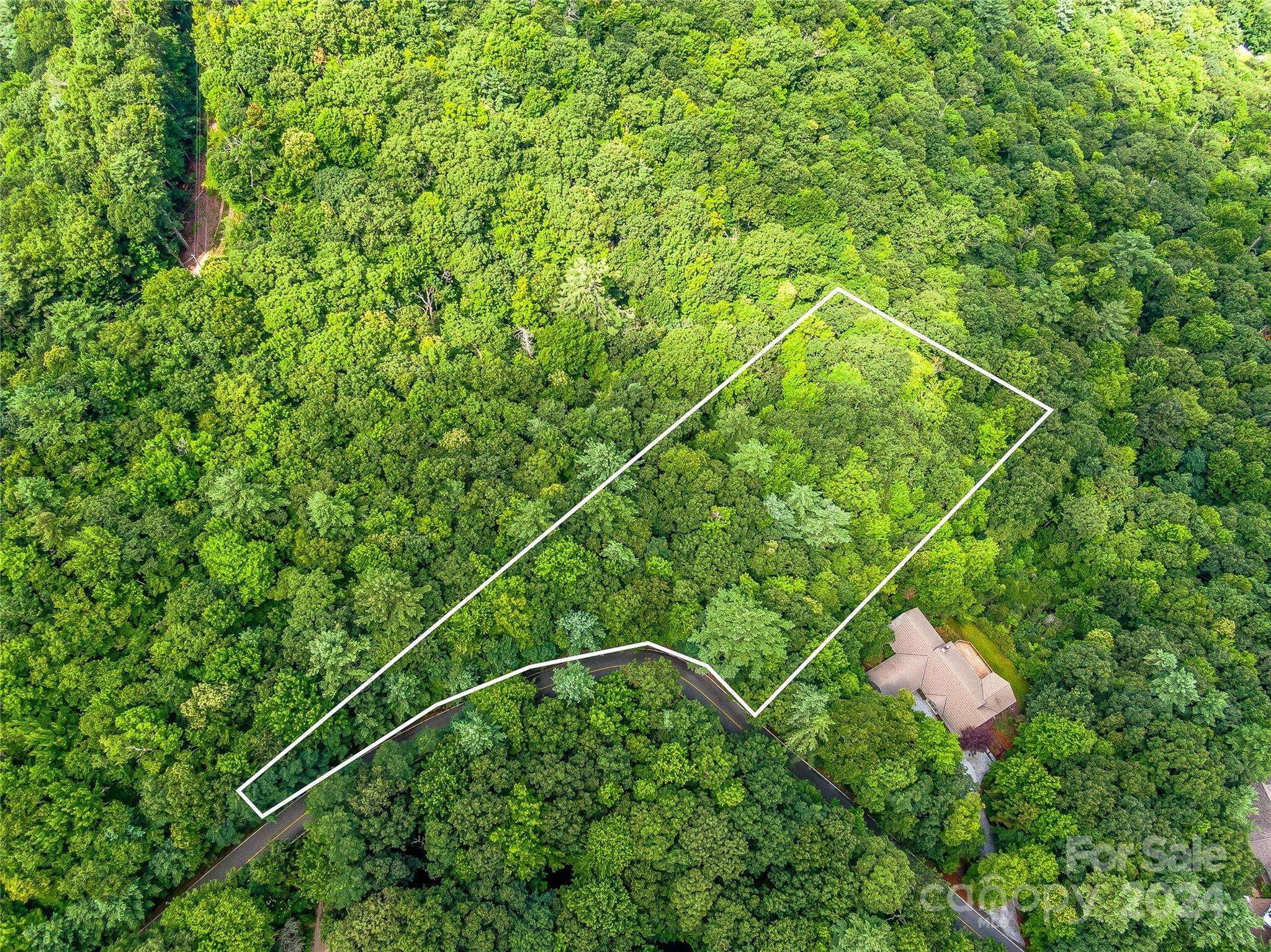 Lot 24 Lakeside TRL #24, Lake Toxaway, NC 28747