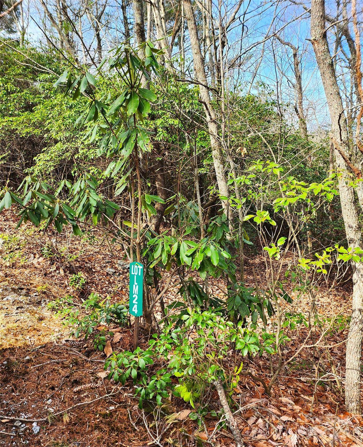Lot 24 Lakeside TRL #24, Lake Toxaway, NC 28747