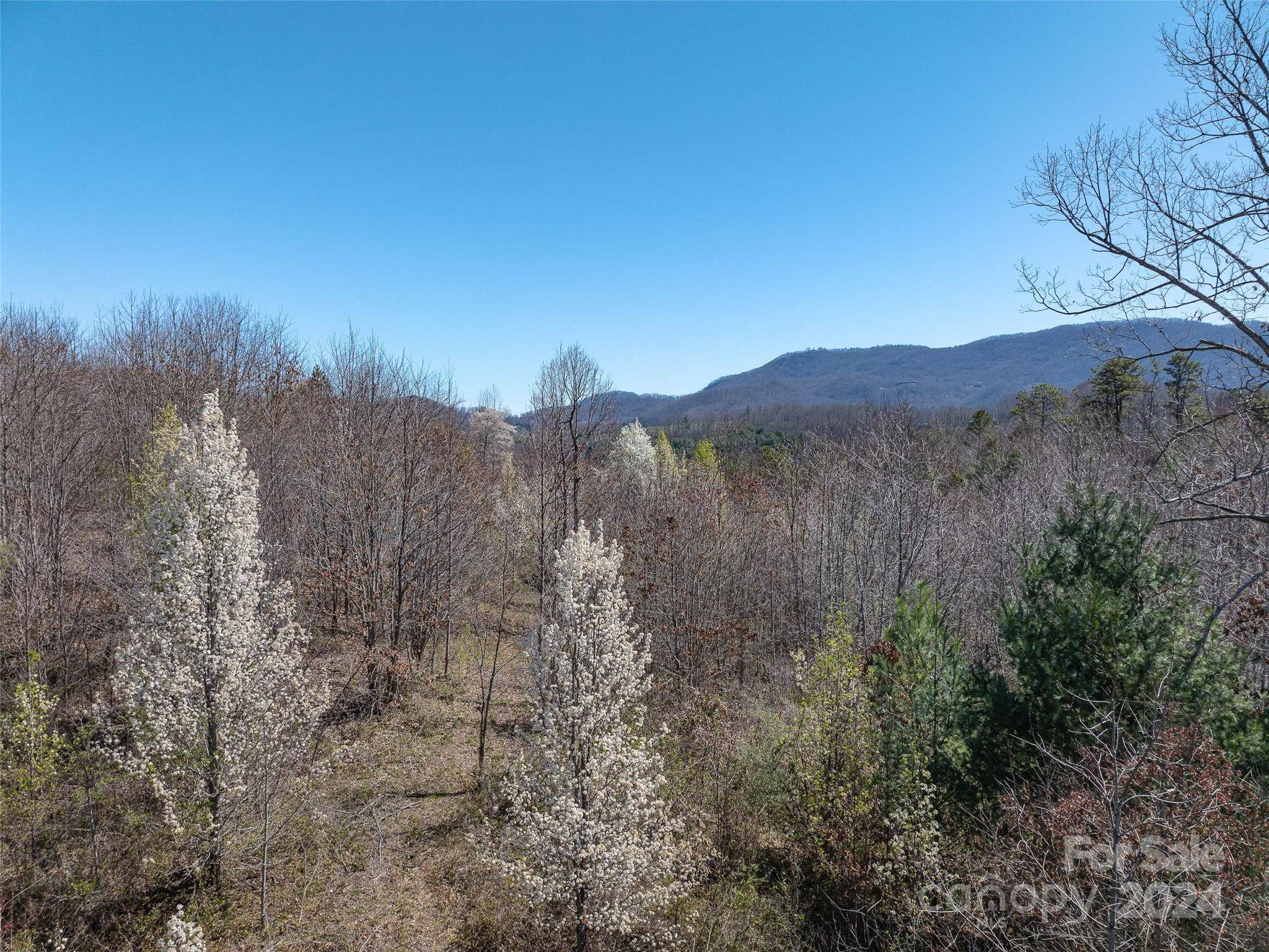 00 Woodland DR, Waynesville, NC 28786