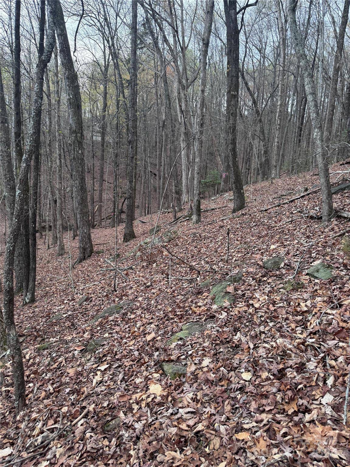 0 Wilkerson CT #16, Lake Lure, NC 28746