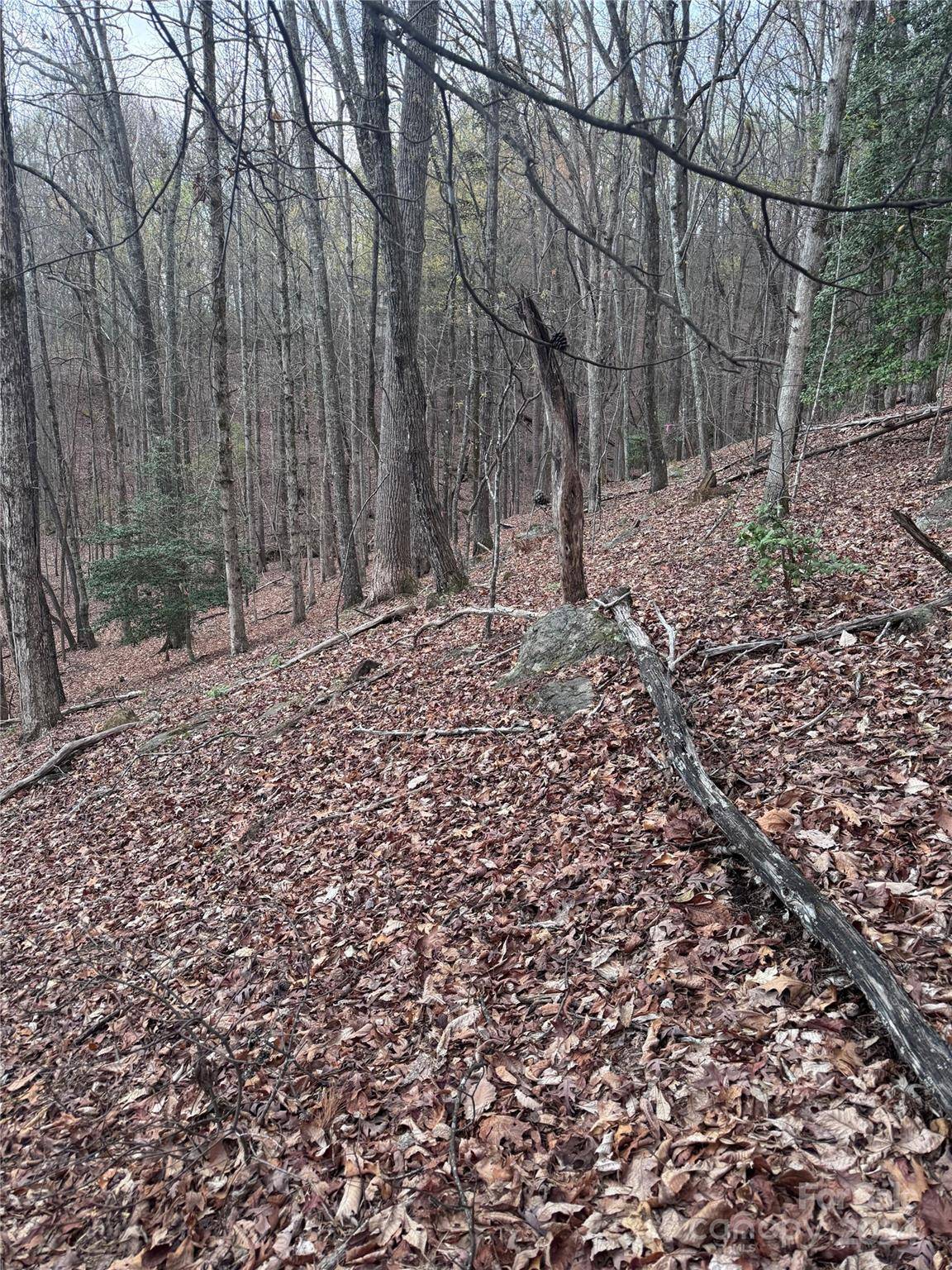 0 Wilkerson CT #16, Lake Lure, NC 28746