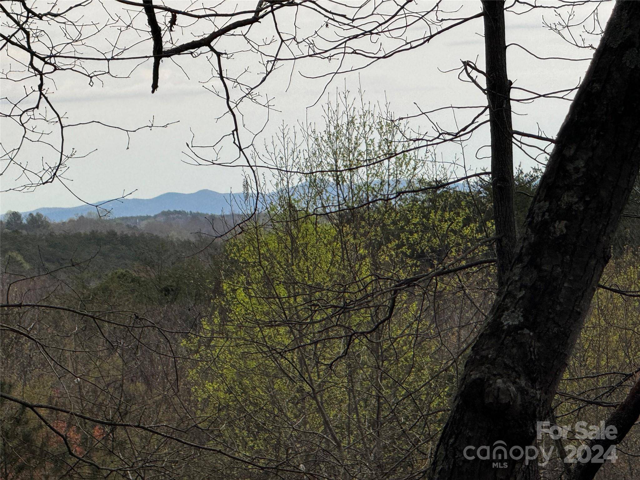 0 Wilkerson CT #16, Lake Lure, NC 28746