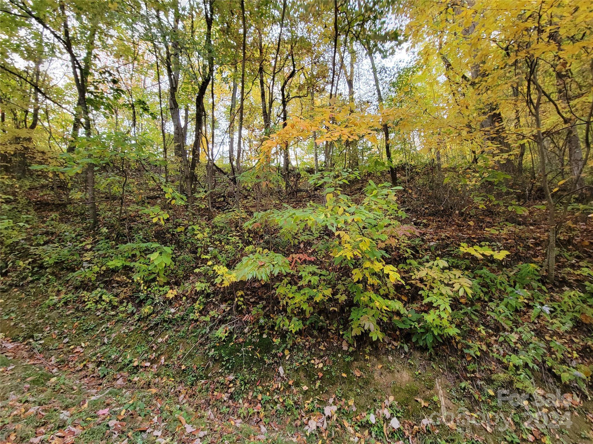 00 Covecrest LN #10, Maggie Valley, NC 28751