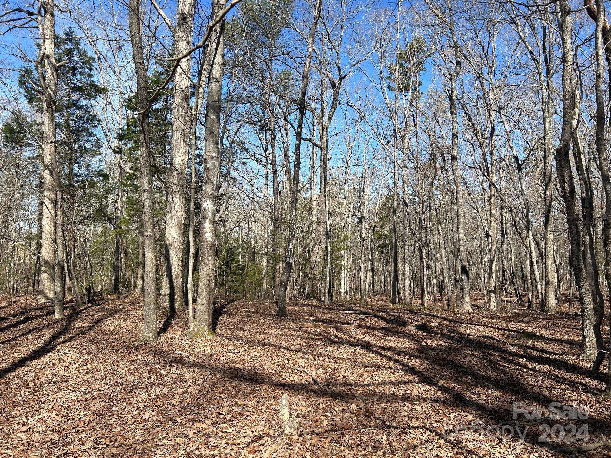 4 AC Ashley RD, Indian Land, SC 29707