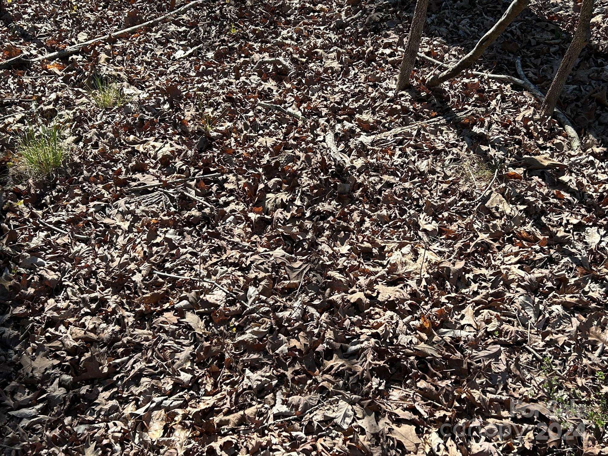 4 AC Ashley RD, Indian Land, SC 29707