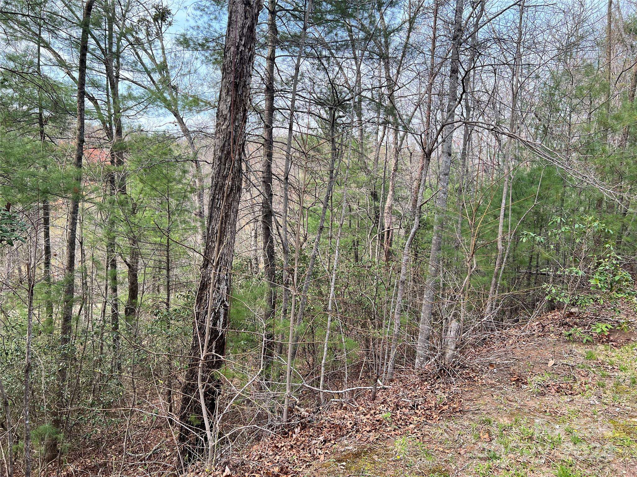 3114 Mountain Laurel DR, Lenoir, NC 28645