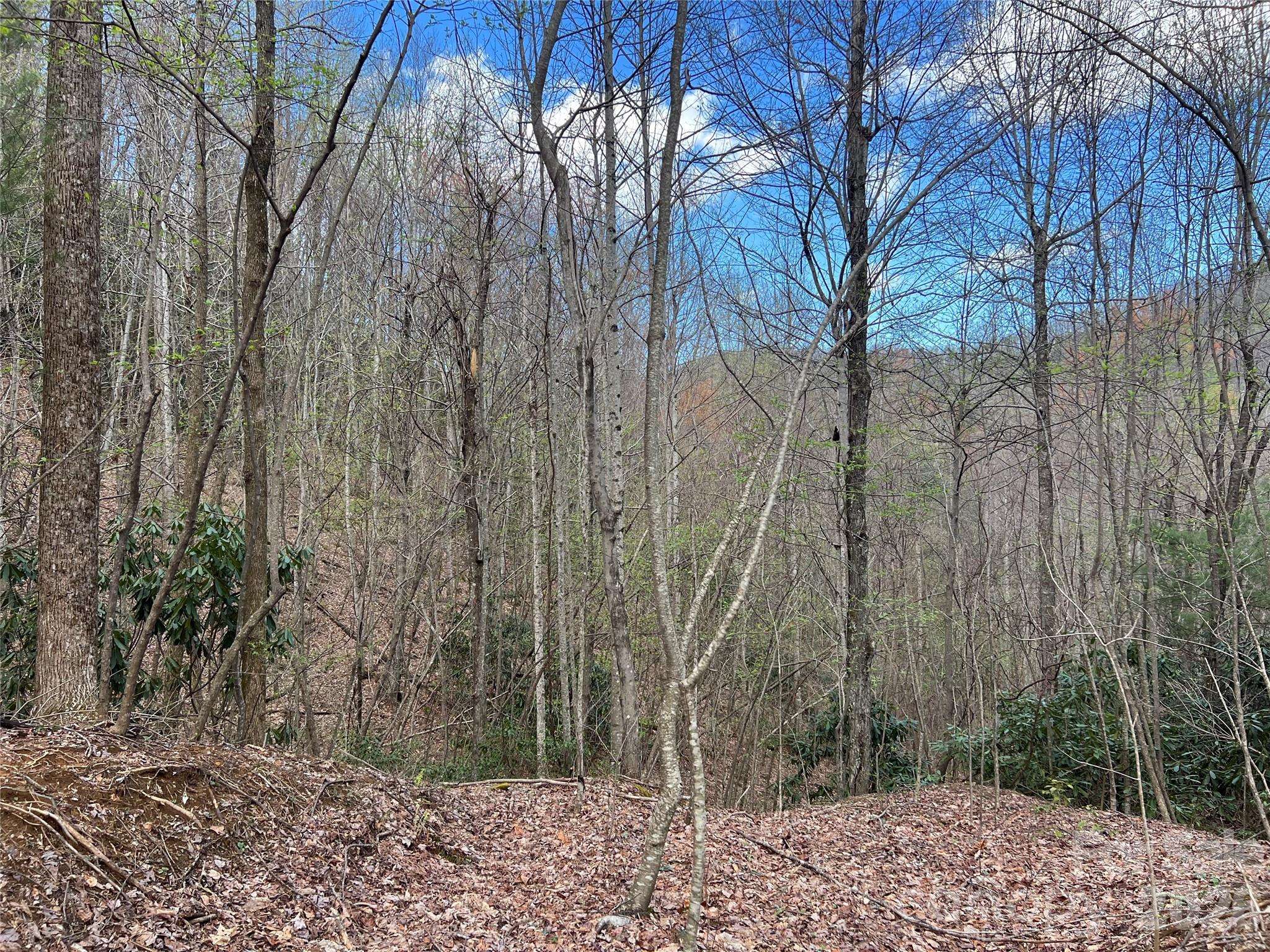 00 Audia Way DR, Zirconia, NC 28790