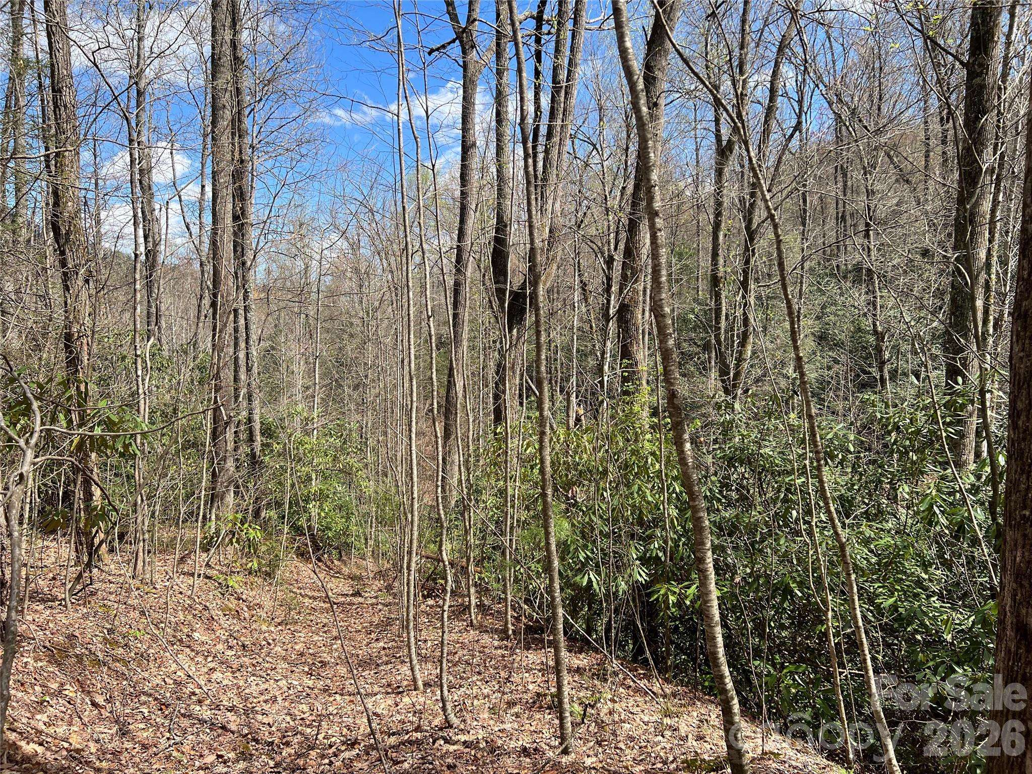 00 Audia Way DR, Zirconia, NC 28790