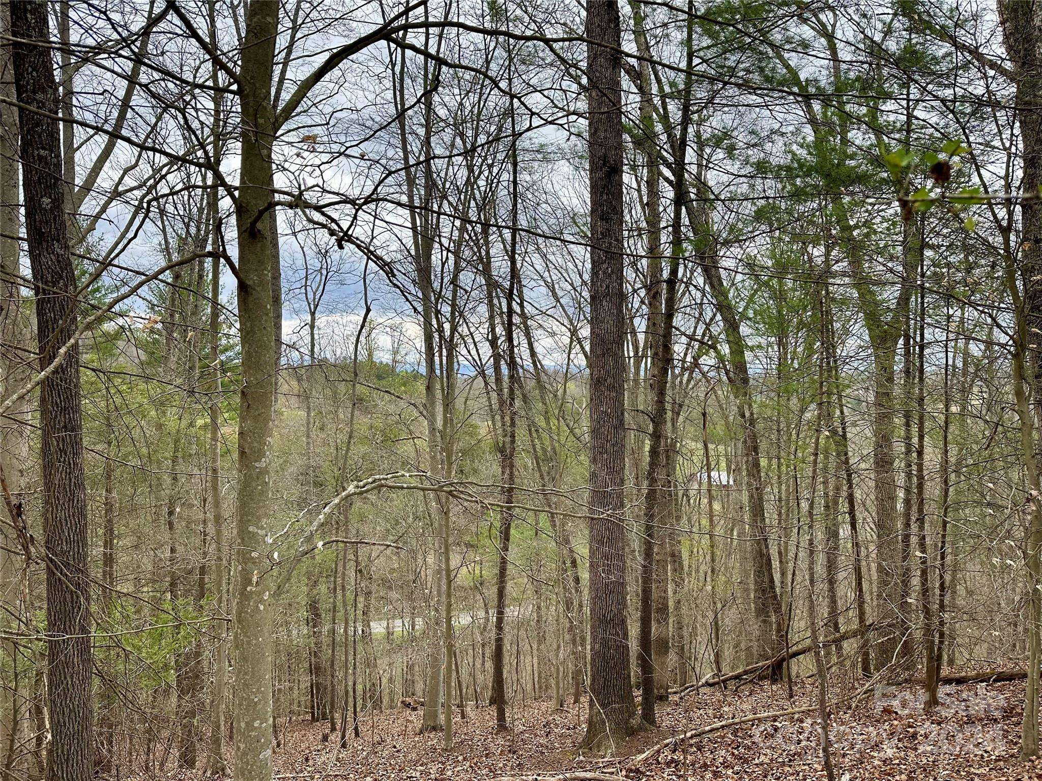 000 Fletcher Martin RD #2 & 3, Alexander, NC 28701
