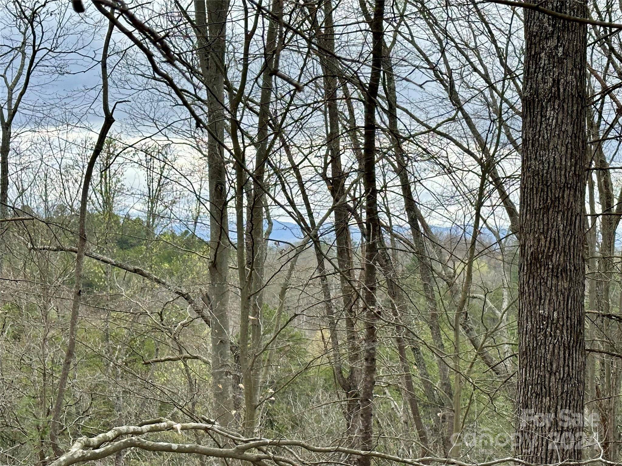 000 Fletcher Martin RD #2 & 3, Alexander, NC 28701