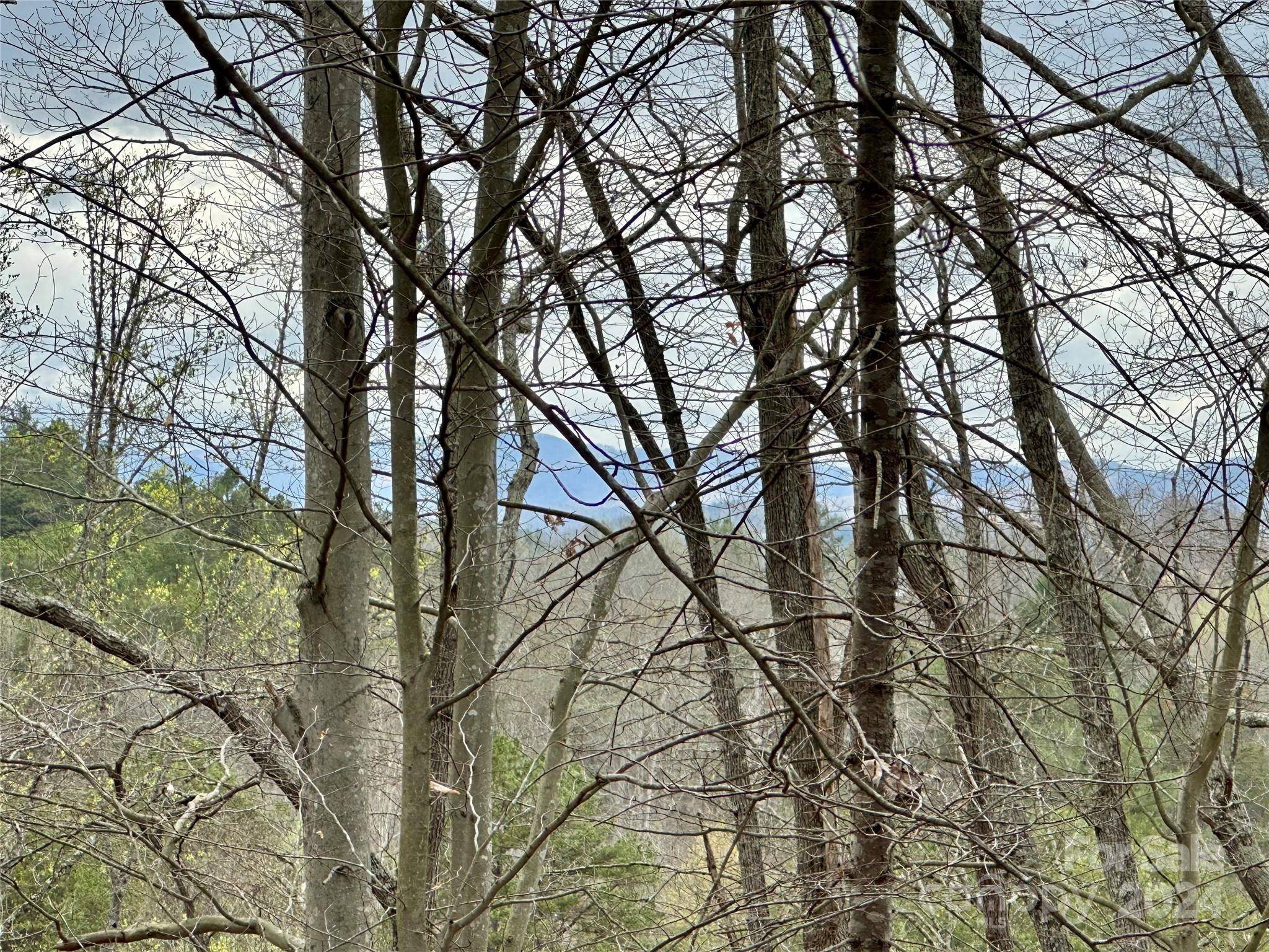 000 Fletcher Martin RD #2 & 3, Alexander, NC 28701